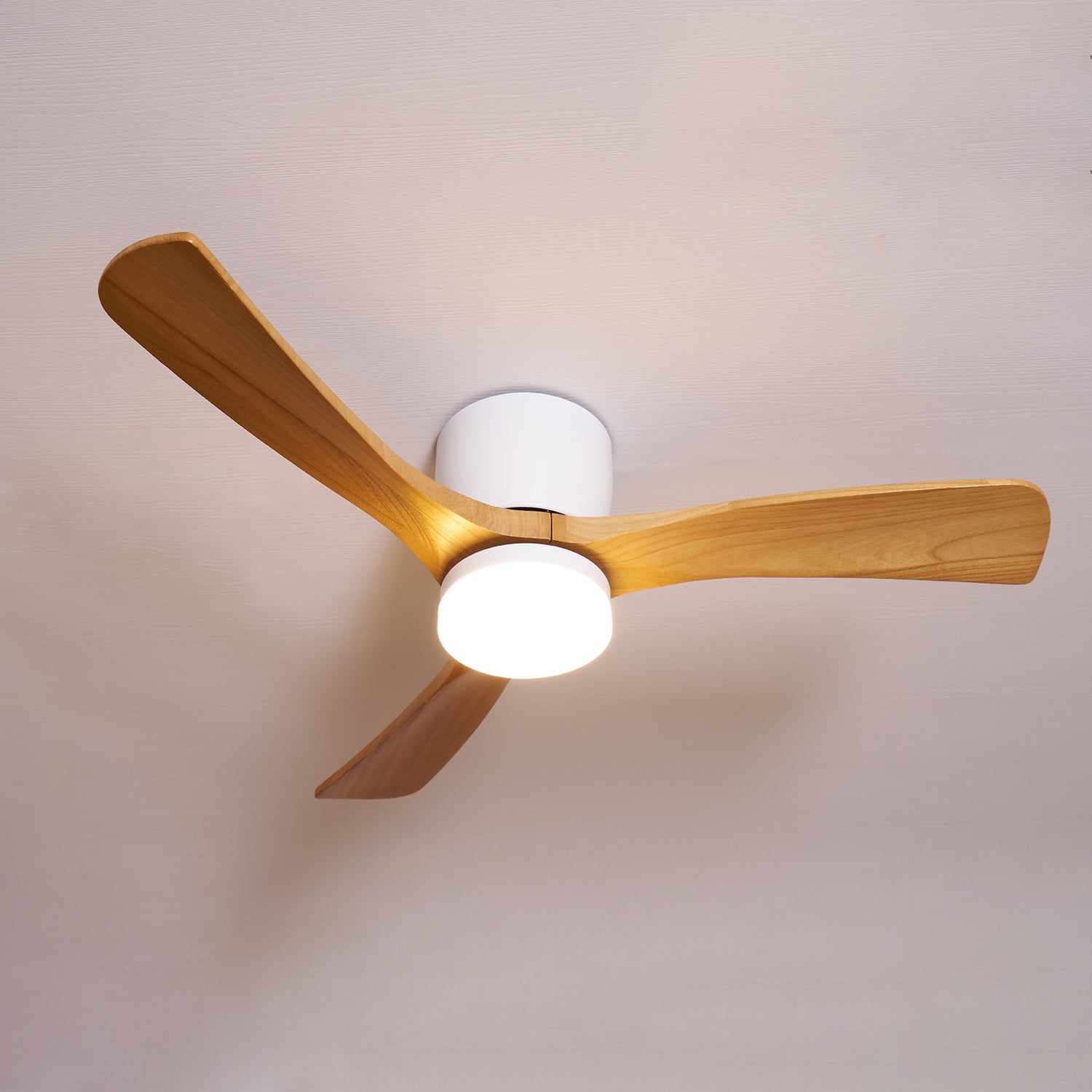 Evral Ceiling Fan
