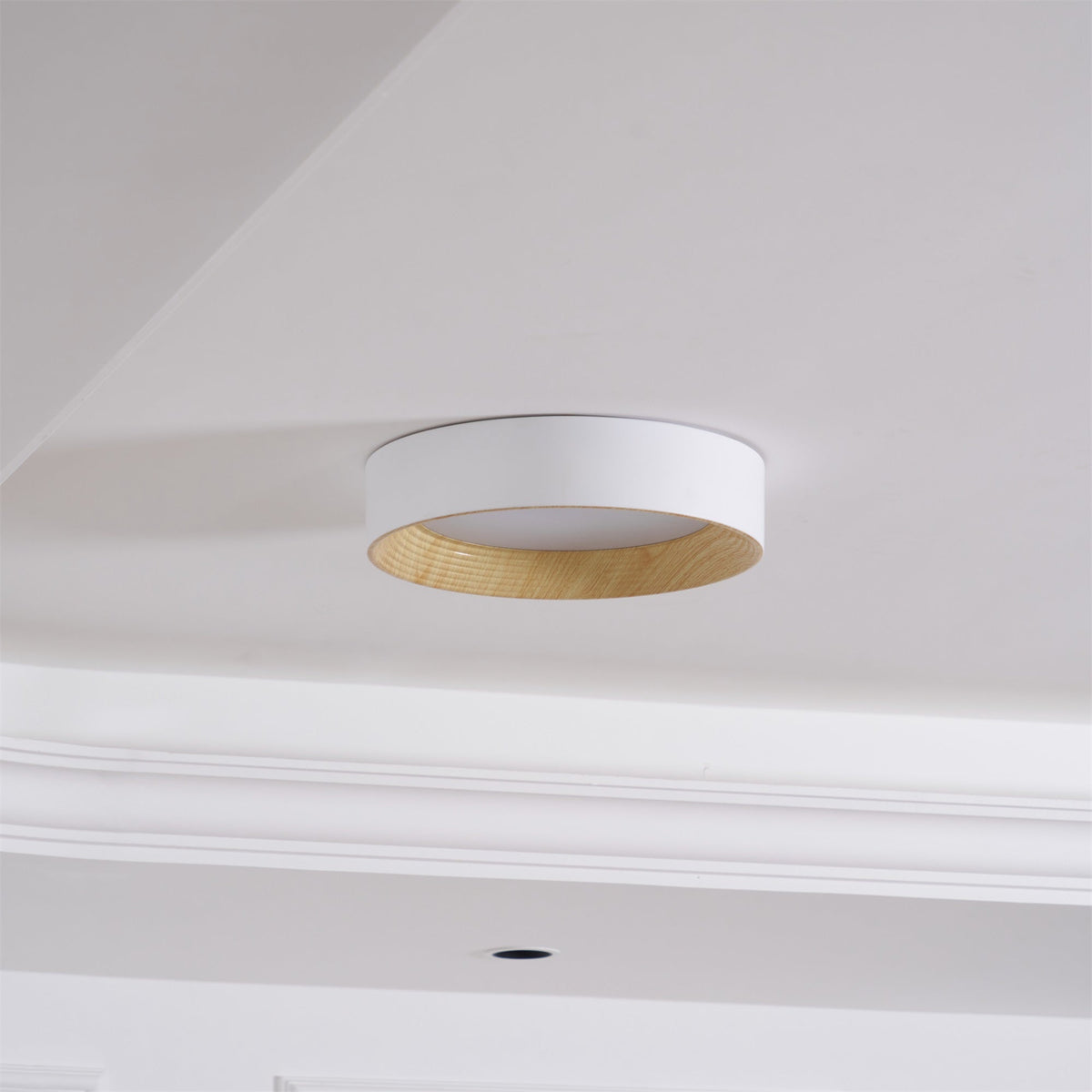 Gigon Round Ceiling Light