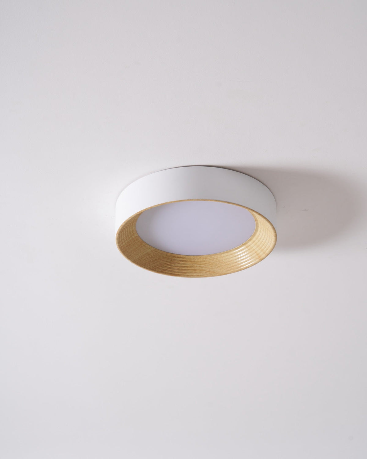 Gigon Round Ceiling Light