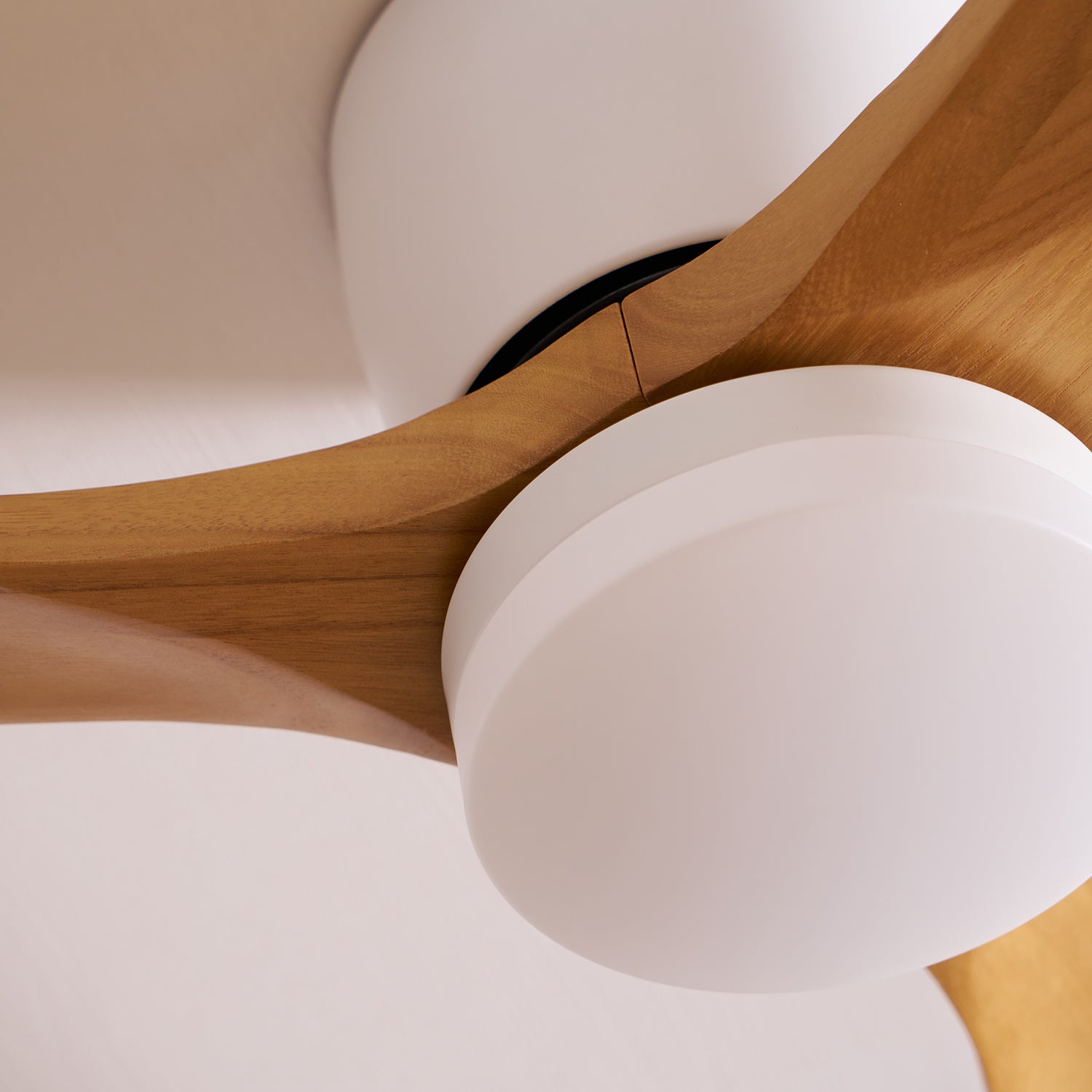 Evral Ceiling Fan