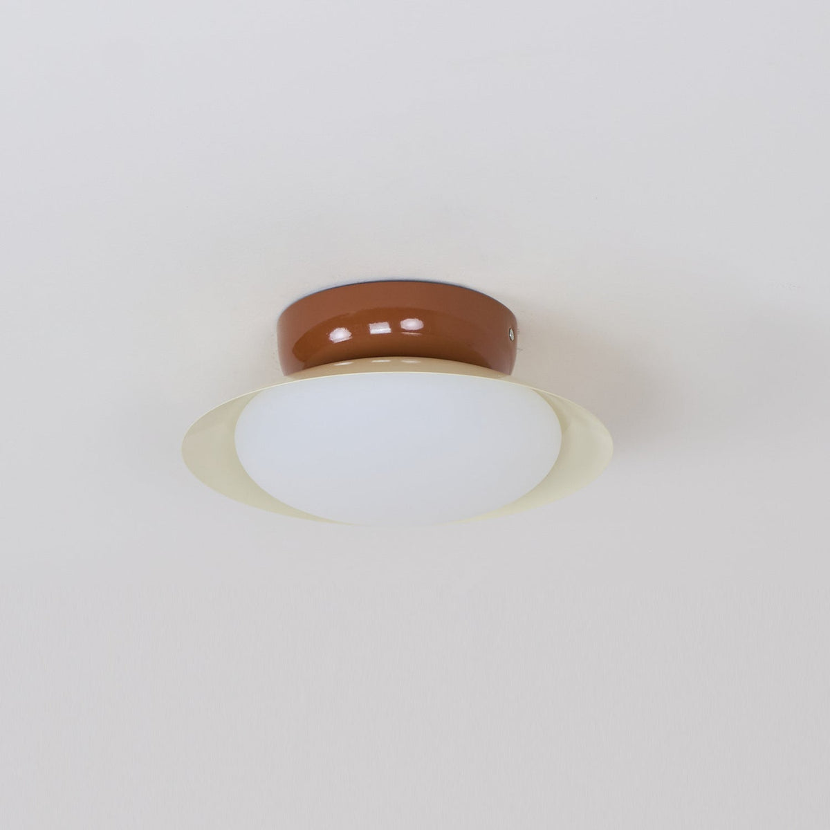 Obulo Outdoor Ceiling Light