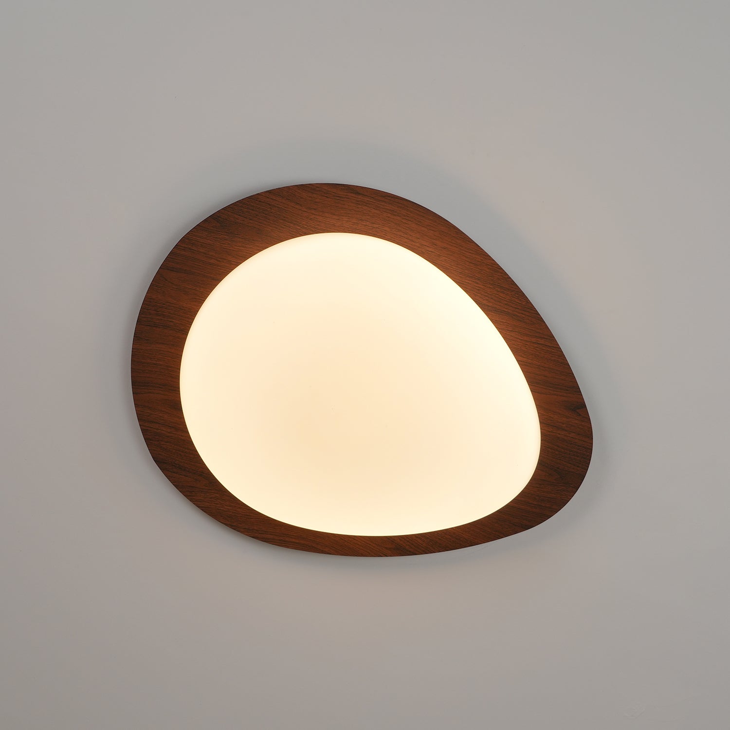 Alerlia Pebble Ceiling Light