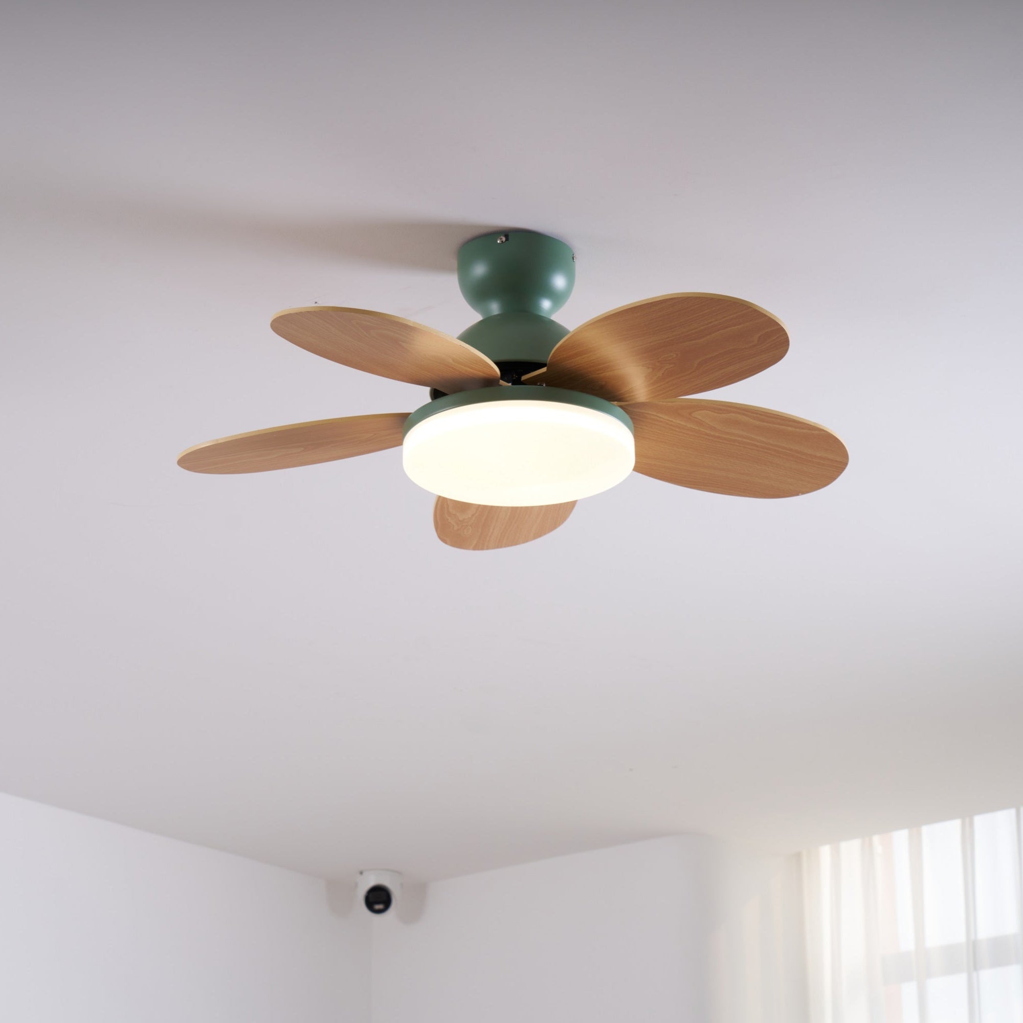 Qeslo Ceiling Fan