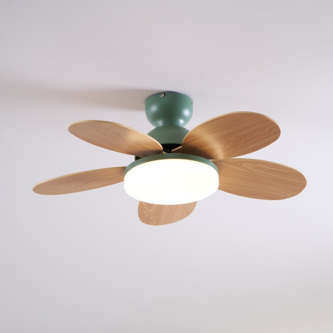 Qeslo Ceiling Fan