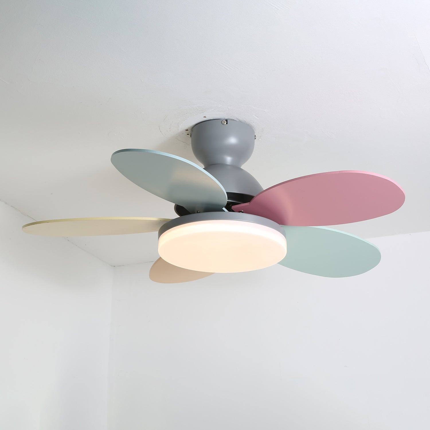 Qeslo Ceiling Fan