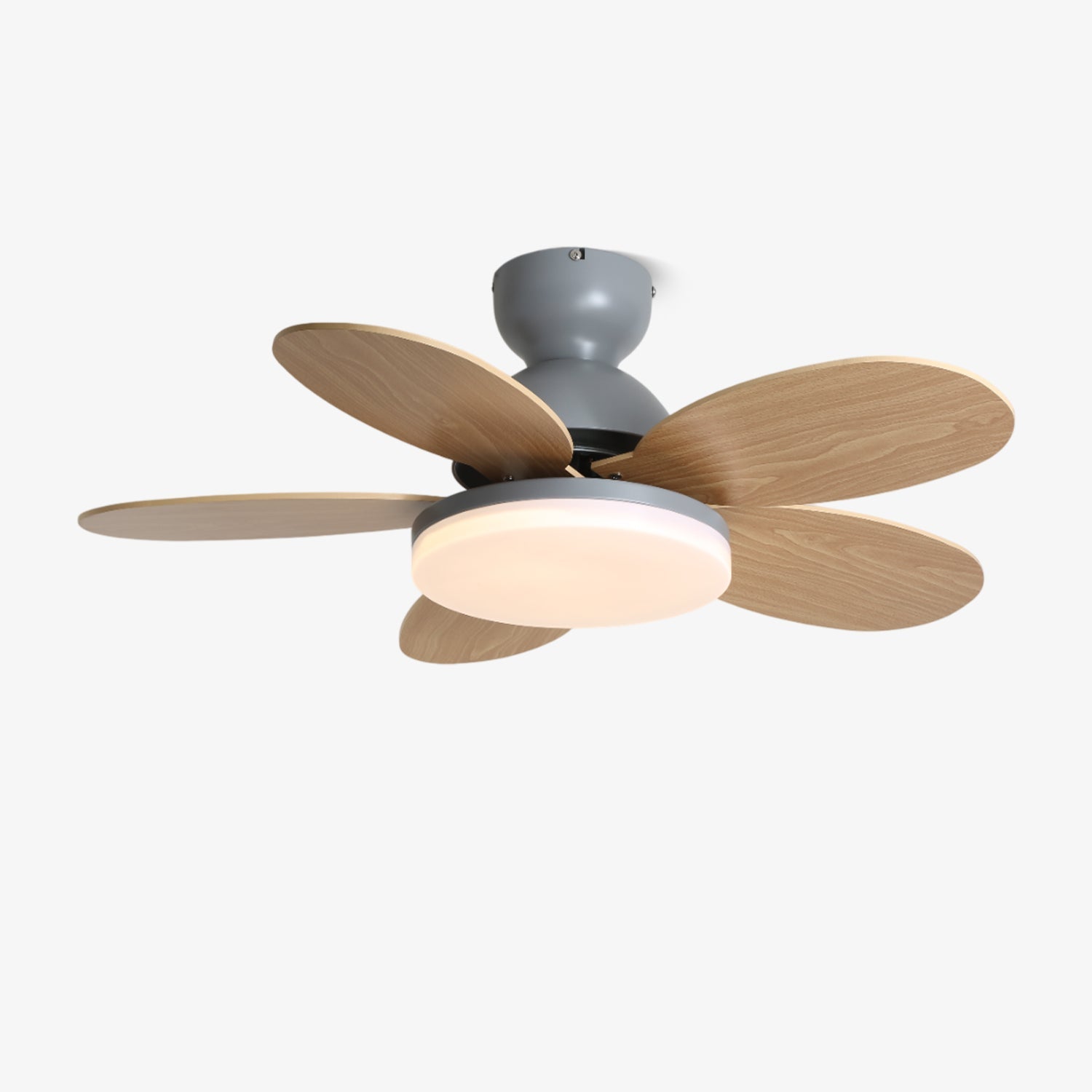 Qeslo Ceiling Fan