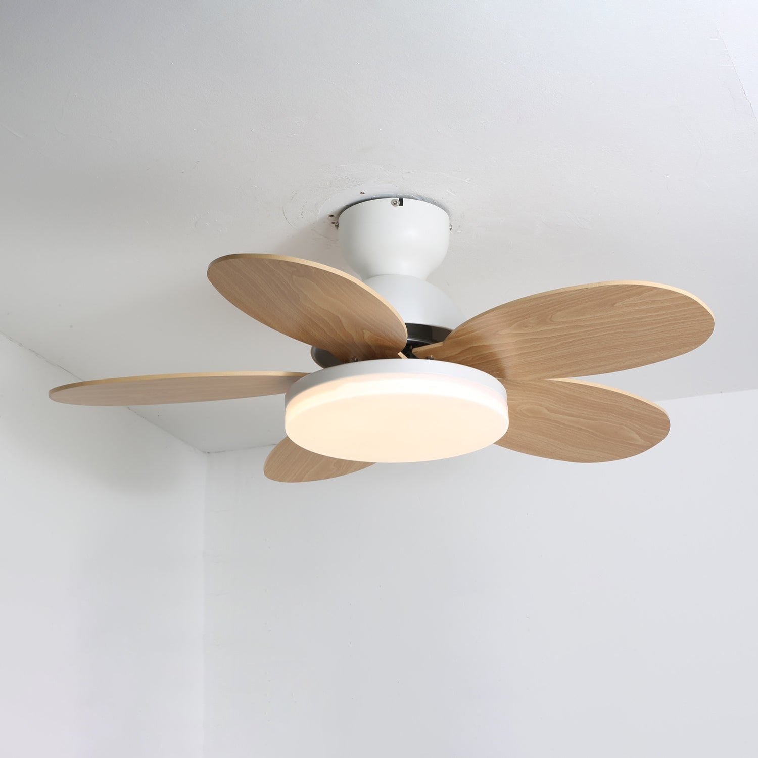Qeslo Ceiling Fan