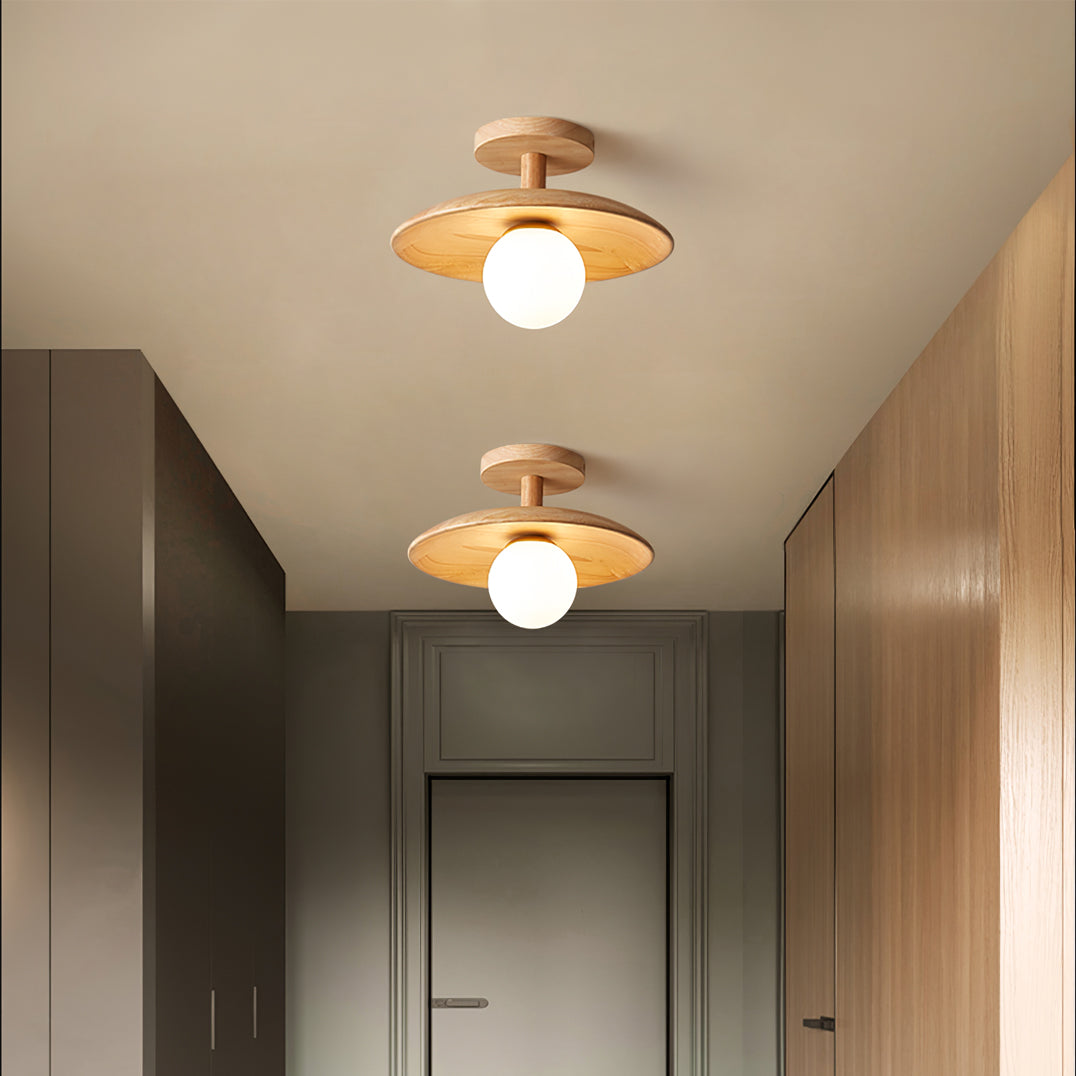 Alzori Round Ceiling Light