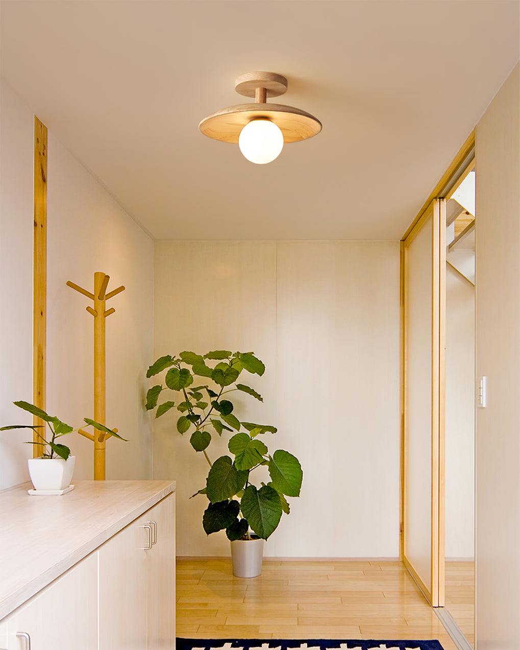 Alzori Round Ceiling Light