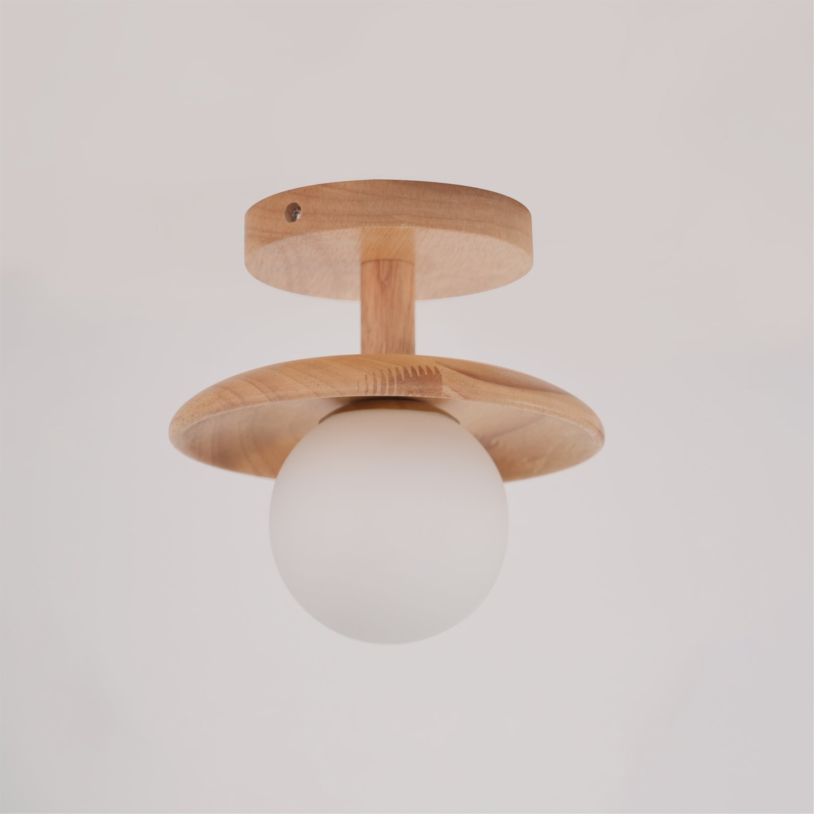 Alzori Round Ceiling Light