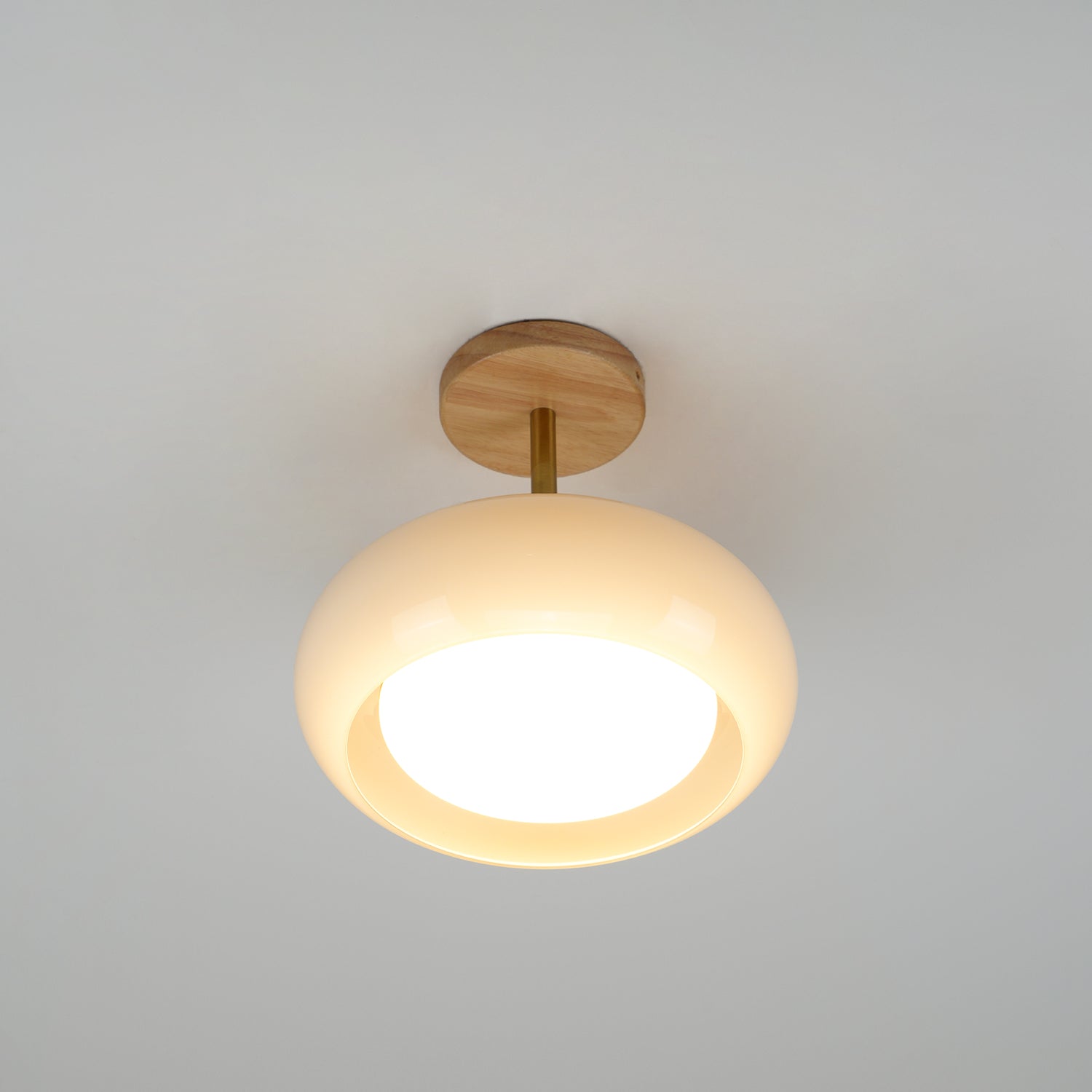 Alivara Vintage Ceiling Light