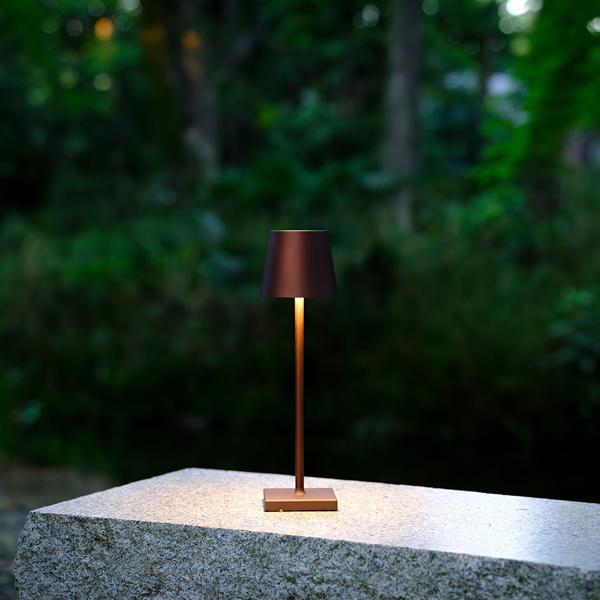 Araraano Portable Table Lamp