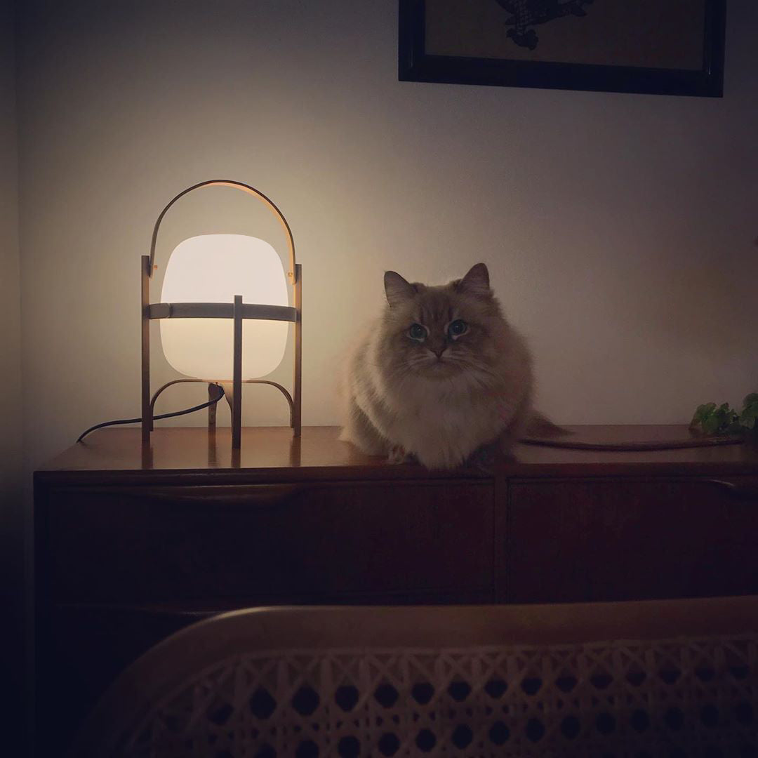 Itovelon Lantern Table Lamp