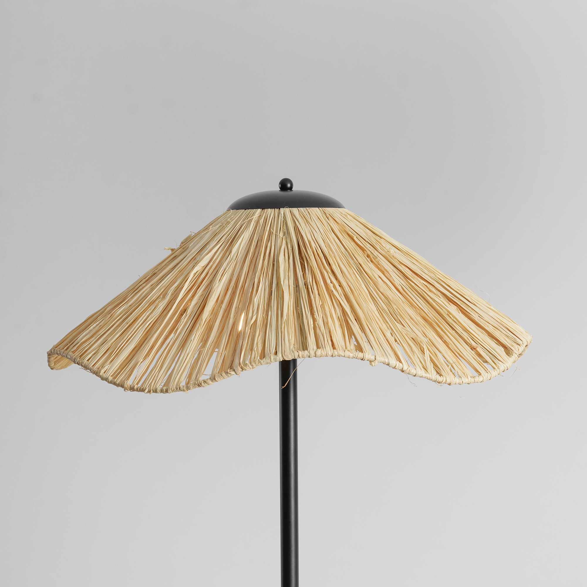 Anelivo Floor Lamp