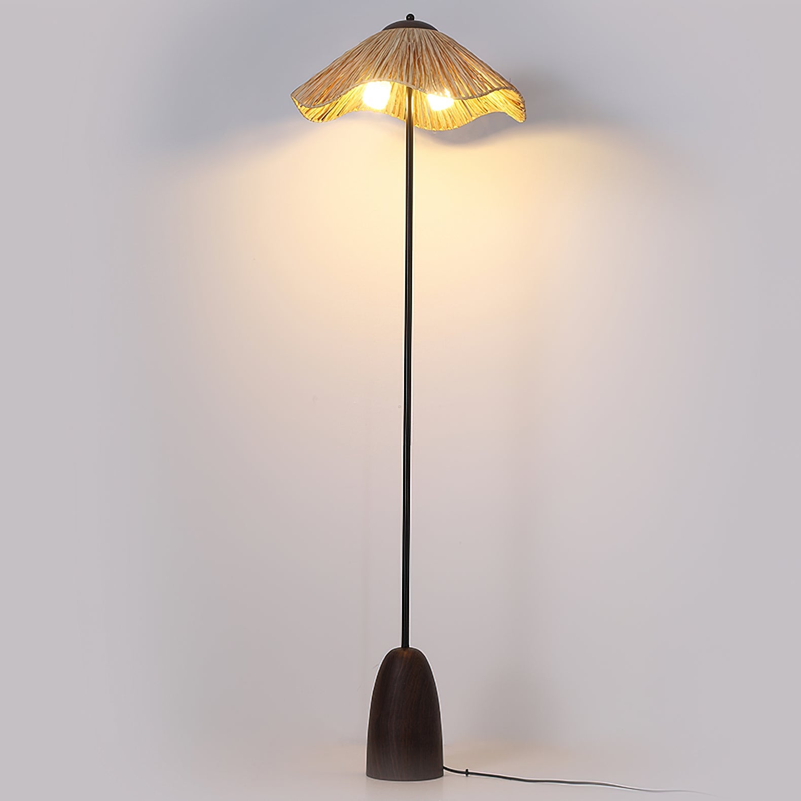 Anelivo Floor Lamp