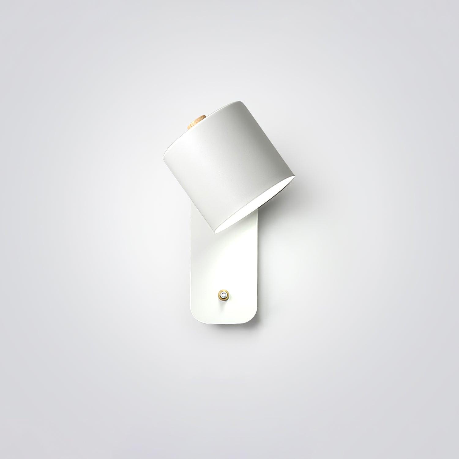 Manzo Wall Light