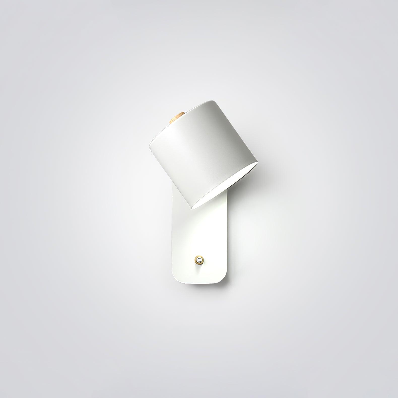 Manzo Wall Light
