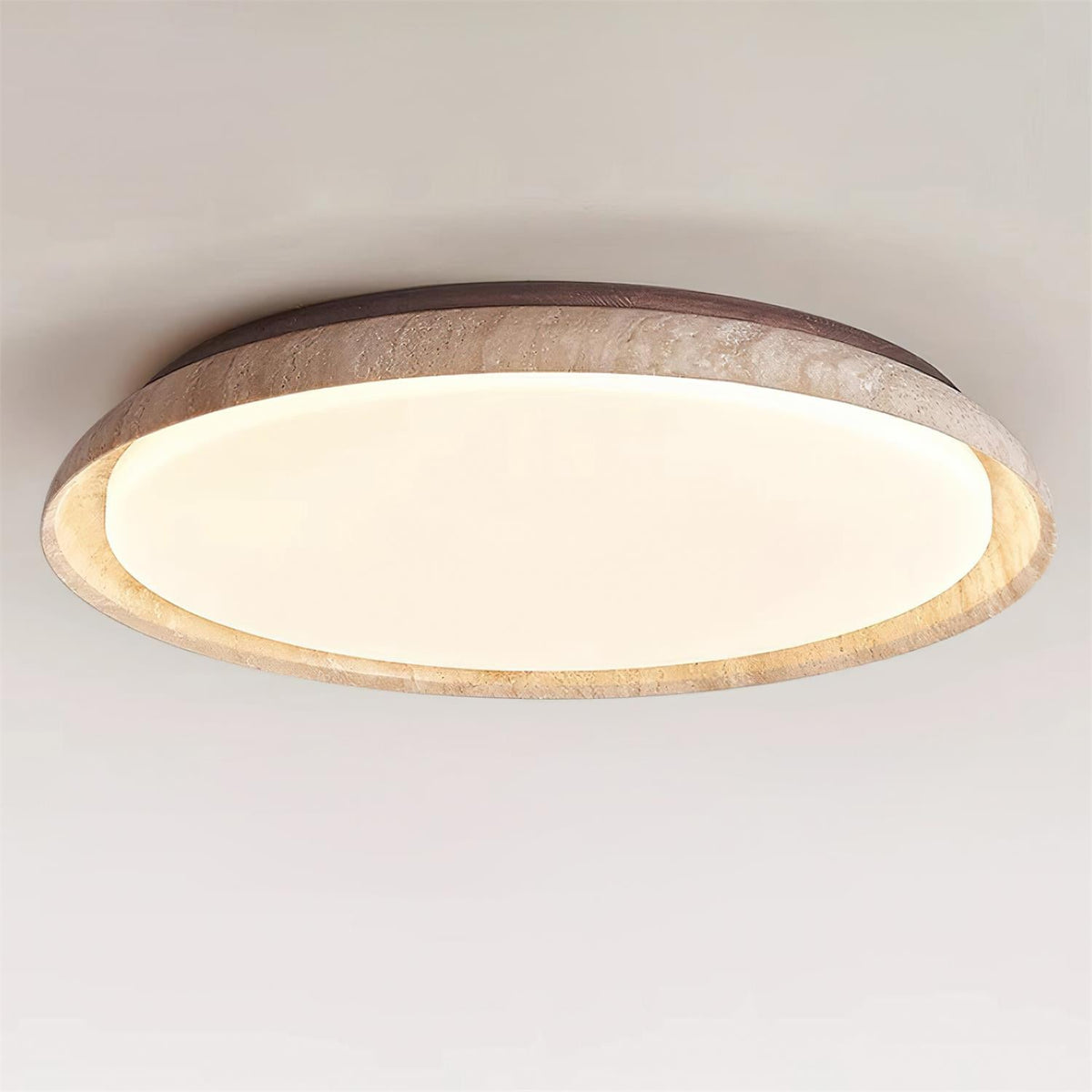 Abea Outdoor Ceiling Light