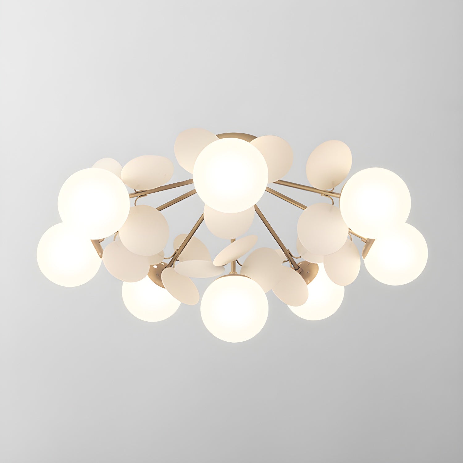 Almirirva Round Ceiling Light