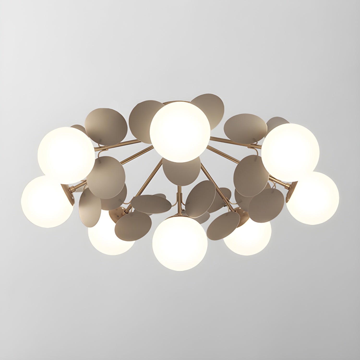 Almirirva Round Ceiling Light