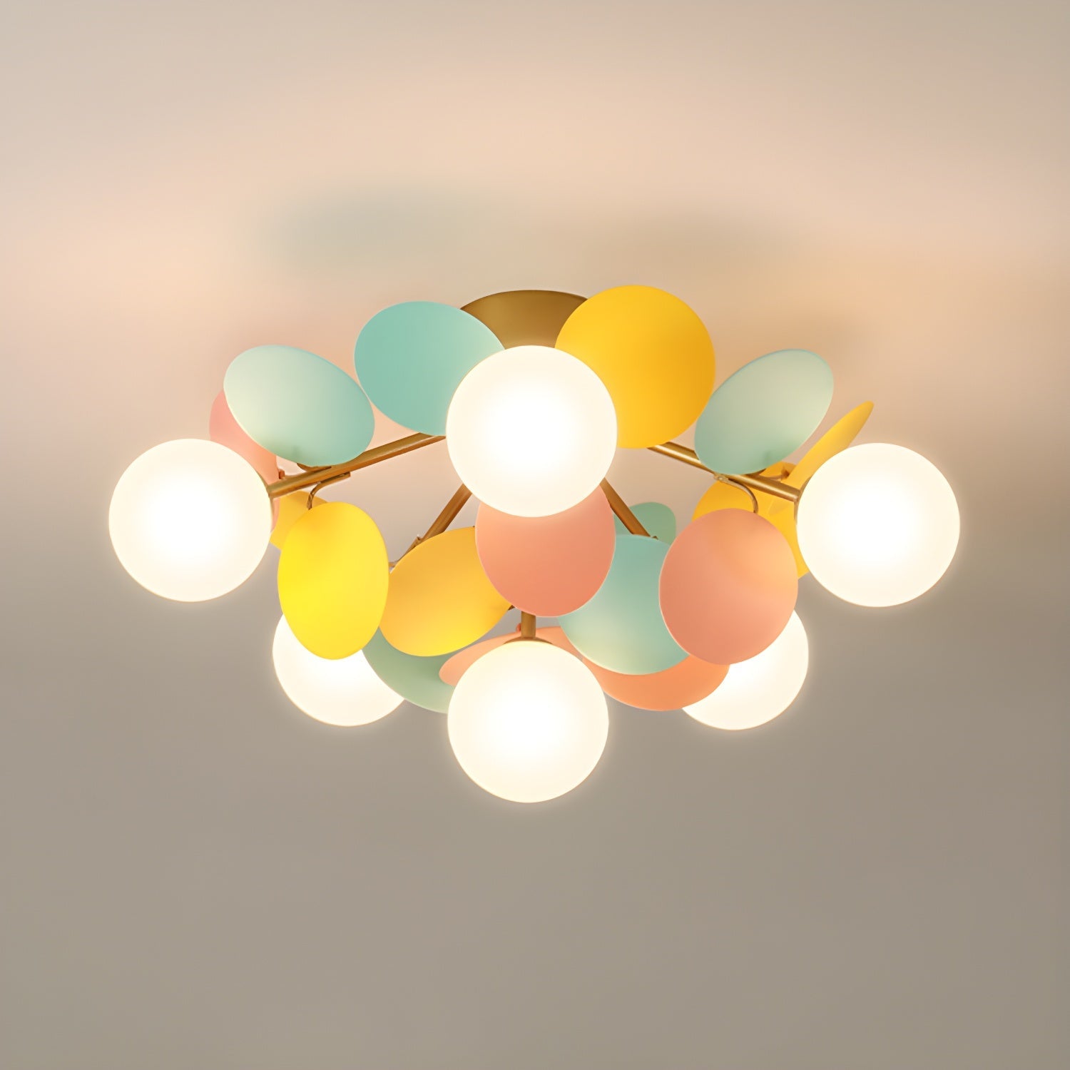 Almirirva Round Ceiling Light