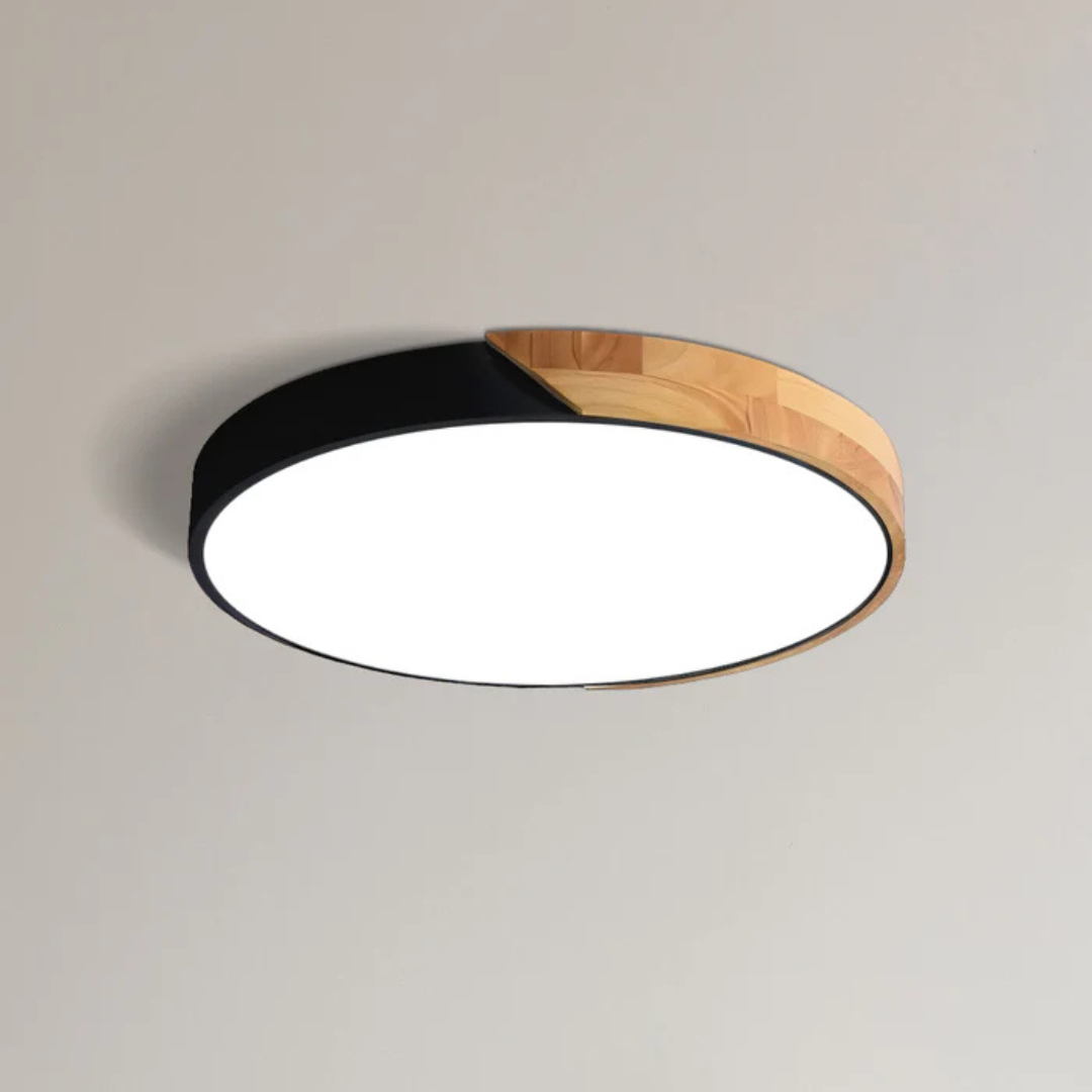 Ulazeron Modern Ceiling Light