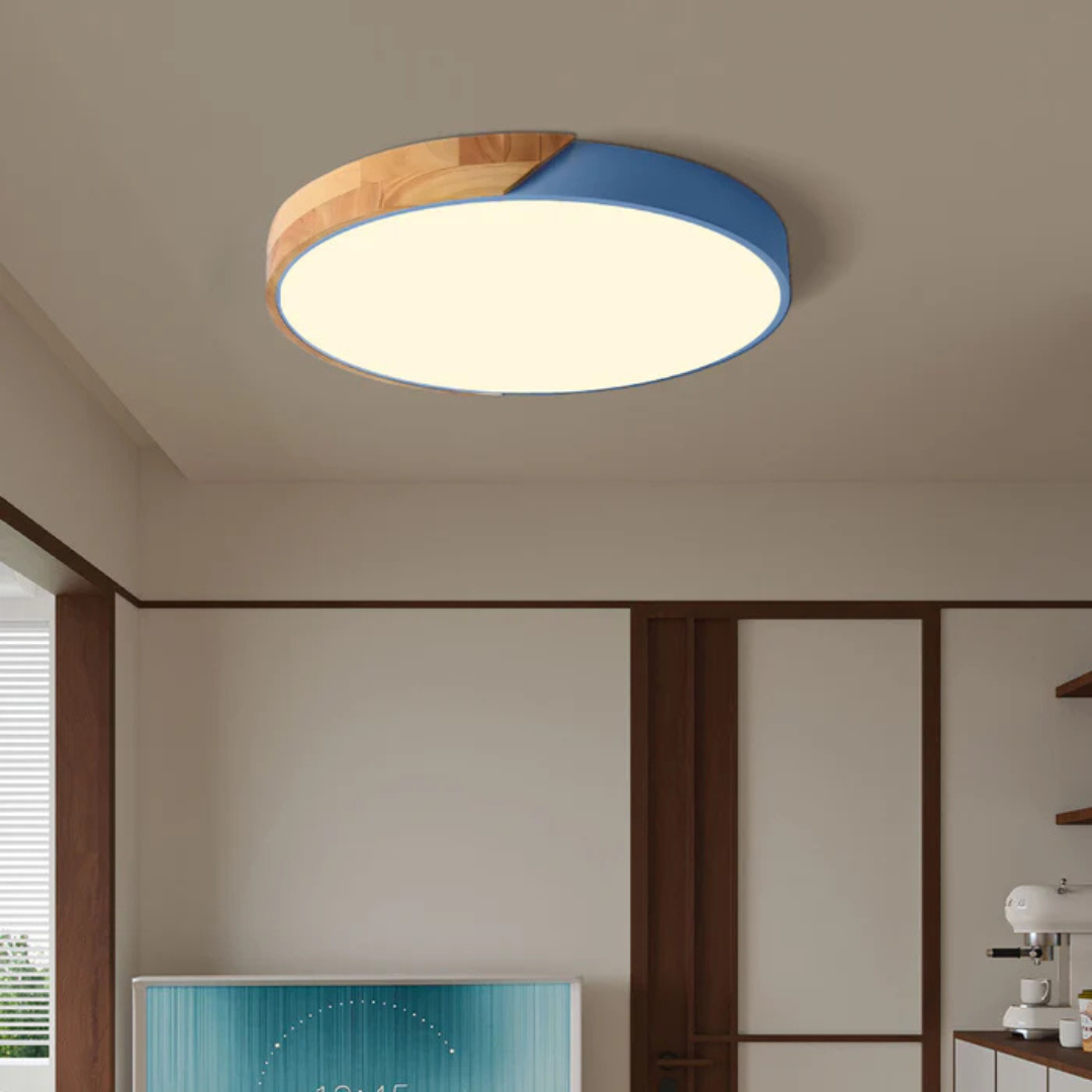 Ulazeron Modern Ceiling Light