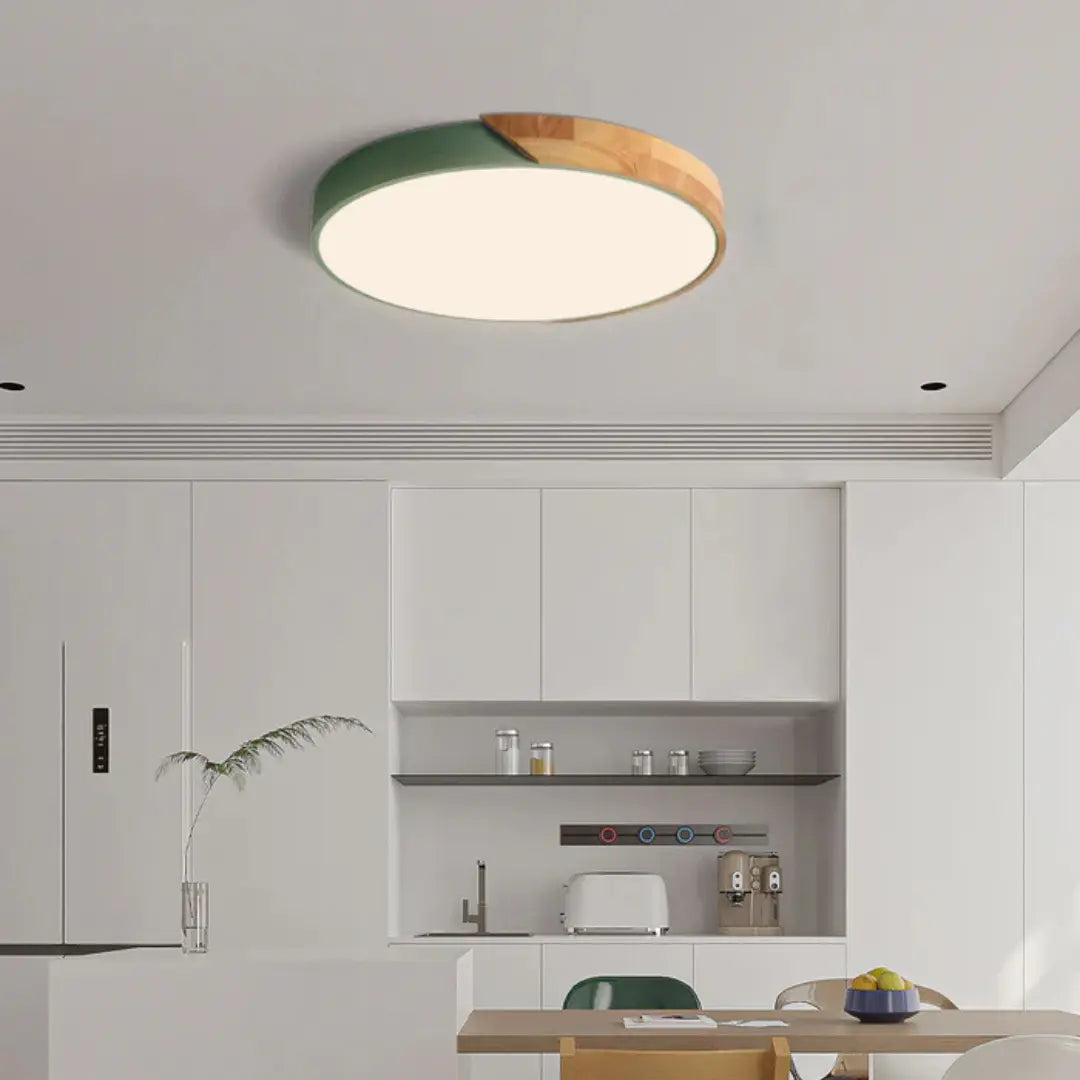 Ulazeron Modern Ceiling Light