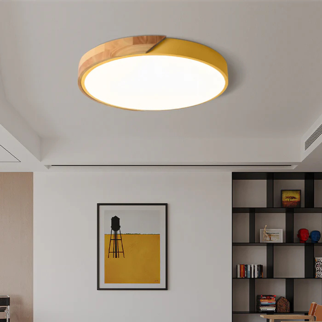 Ulazeron Modern Ceiling Light