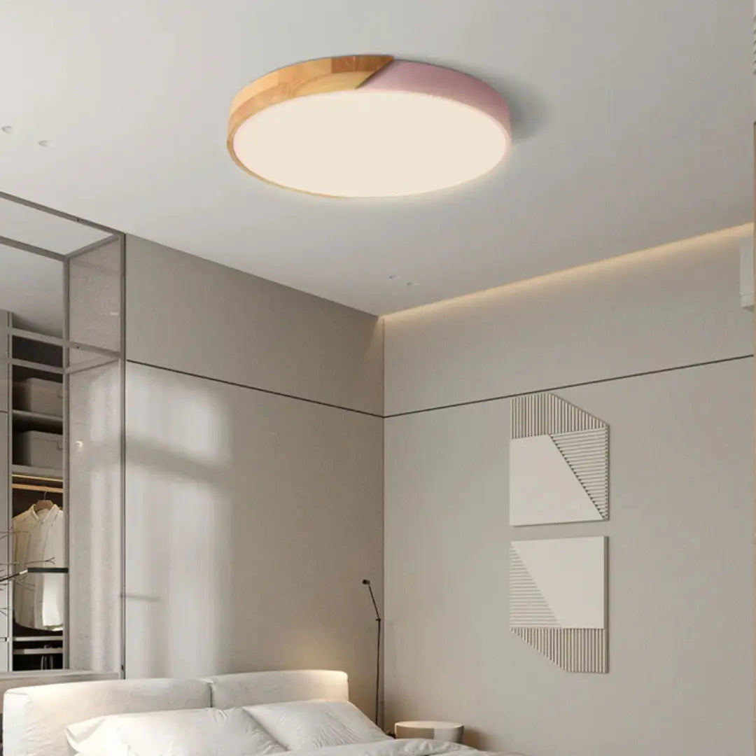Ulazeron Modern Ceiling Light