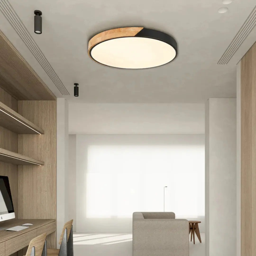 Ulazeron Modern Ceiling Light