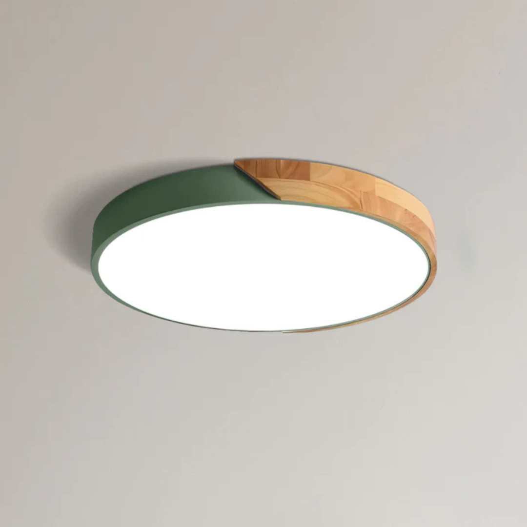 Ulazeron Modern Ceiling Light