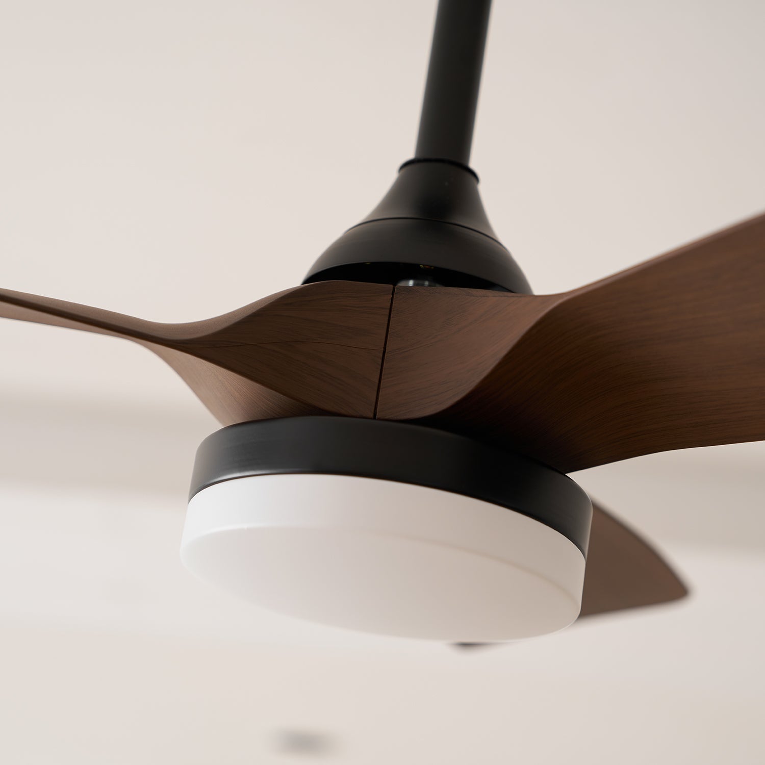 Avolavo Modern Ceiling Fan Light