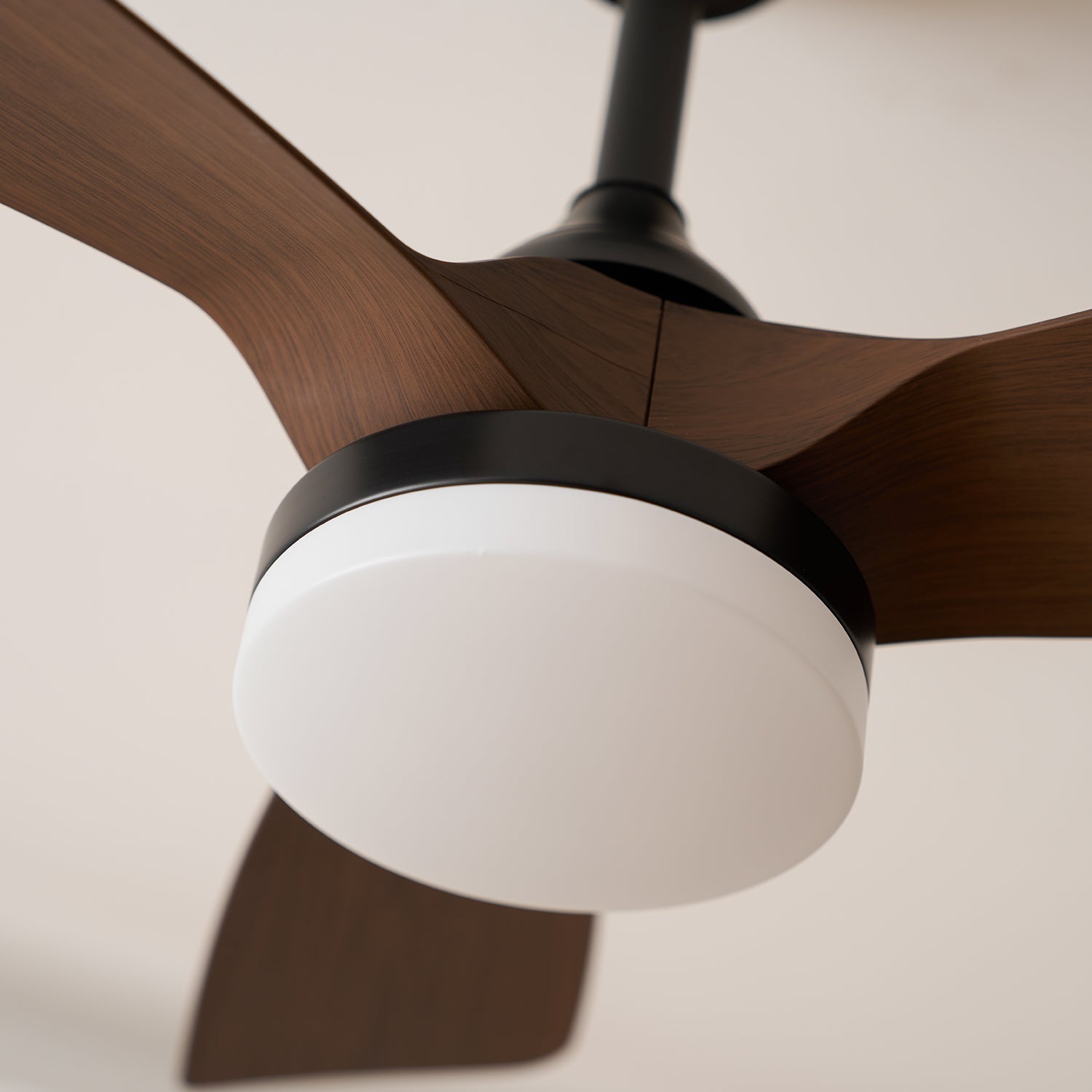 Avolavo Modern Ceiling Fan Light