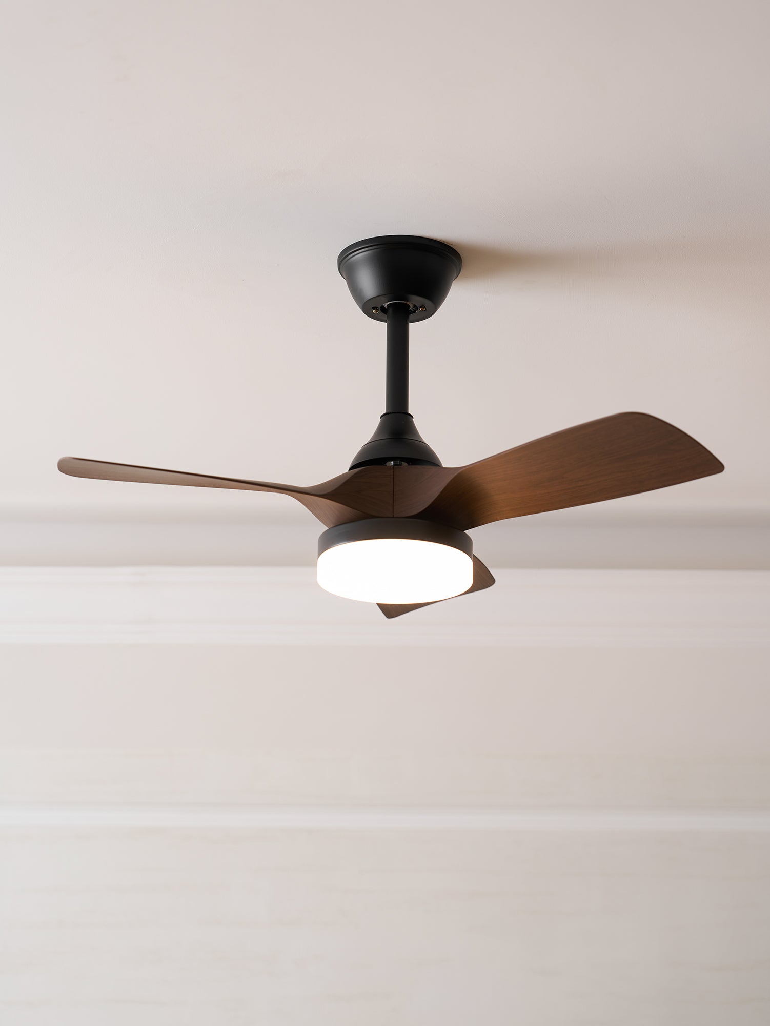 Avolavo Modern Ceiling Fan Light