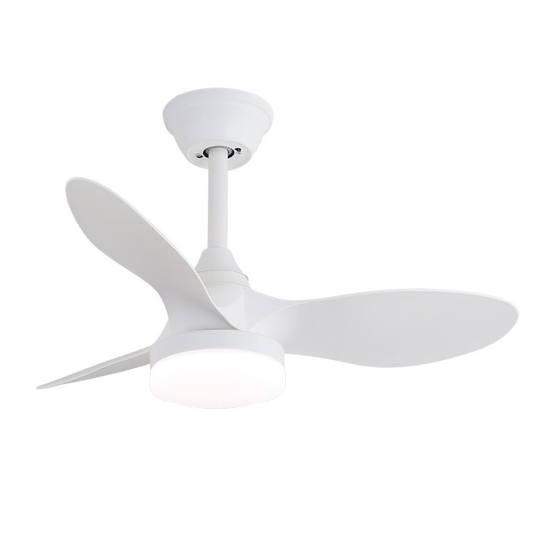 Avolavo Modern Ceiling Fan Light