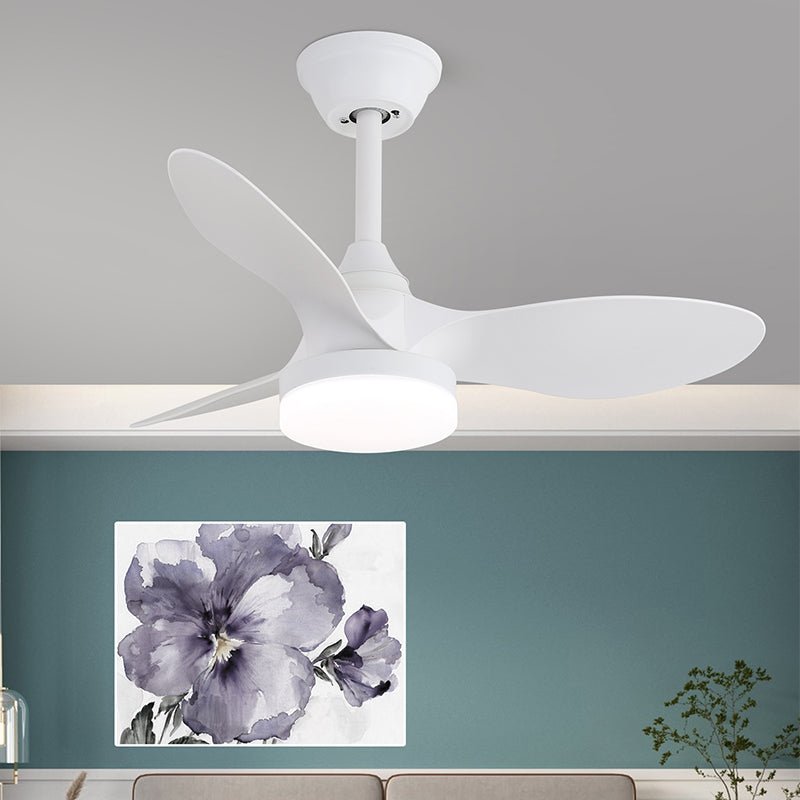 Avolavo Modern Ceiling Fan Light