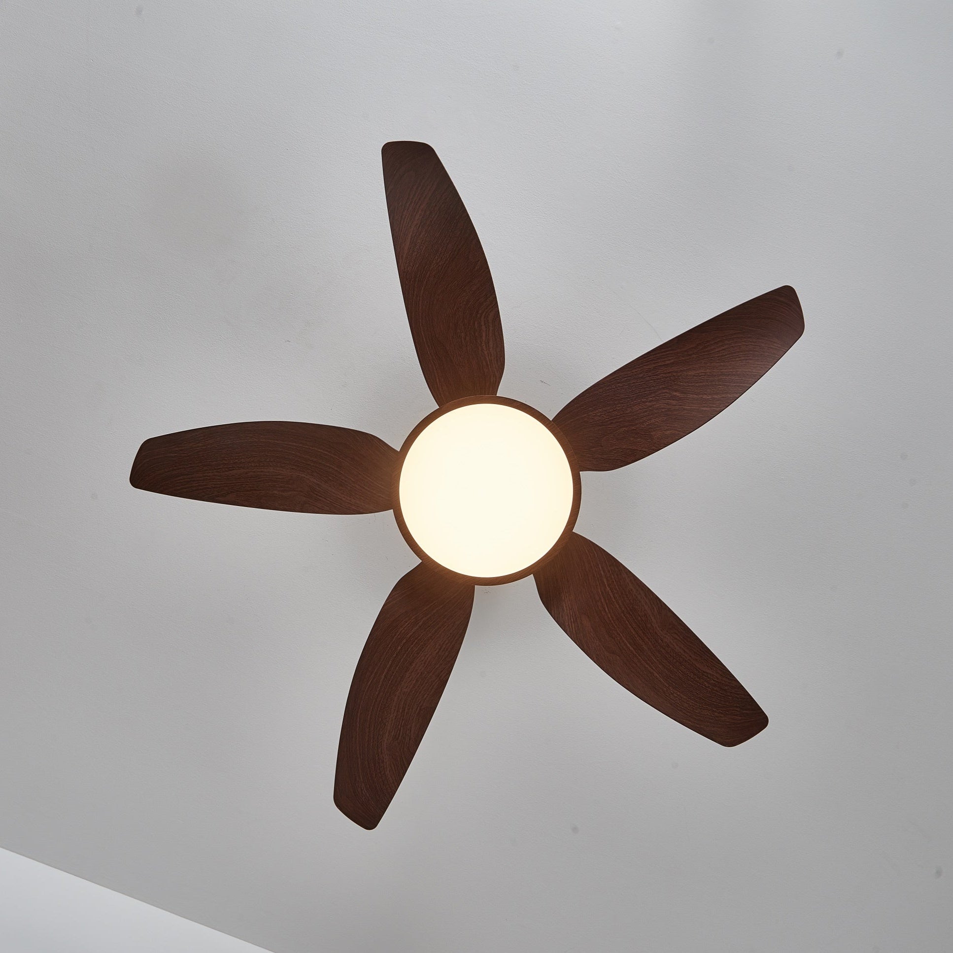 Amoro Ceiling Fan Light