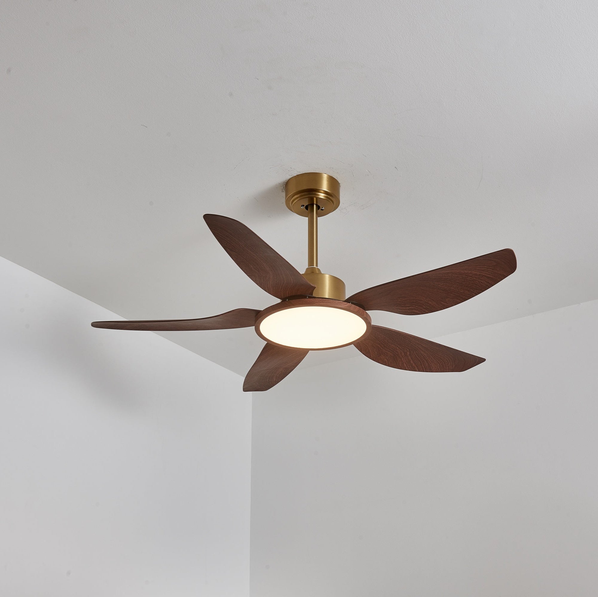 Amoro Ceiling Fan Light