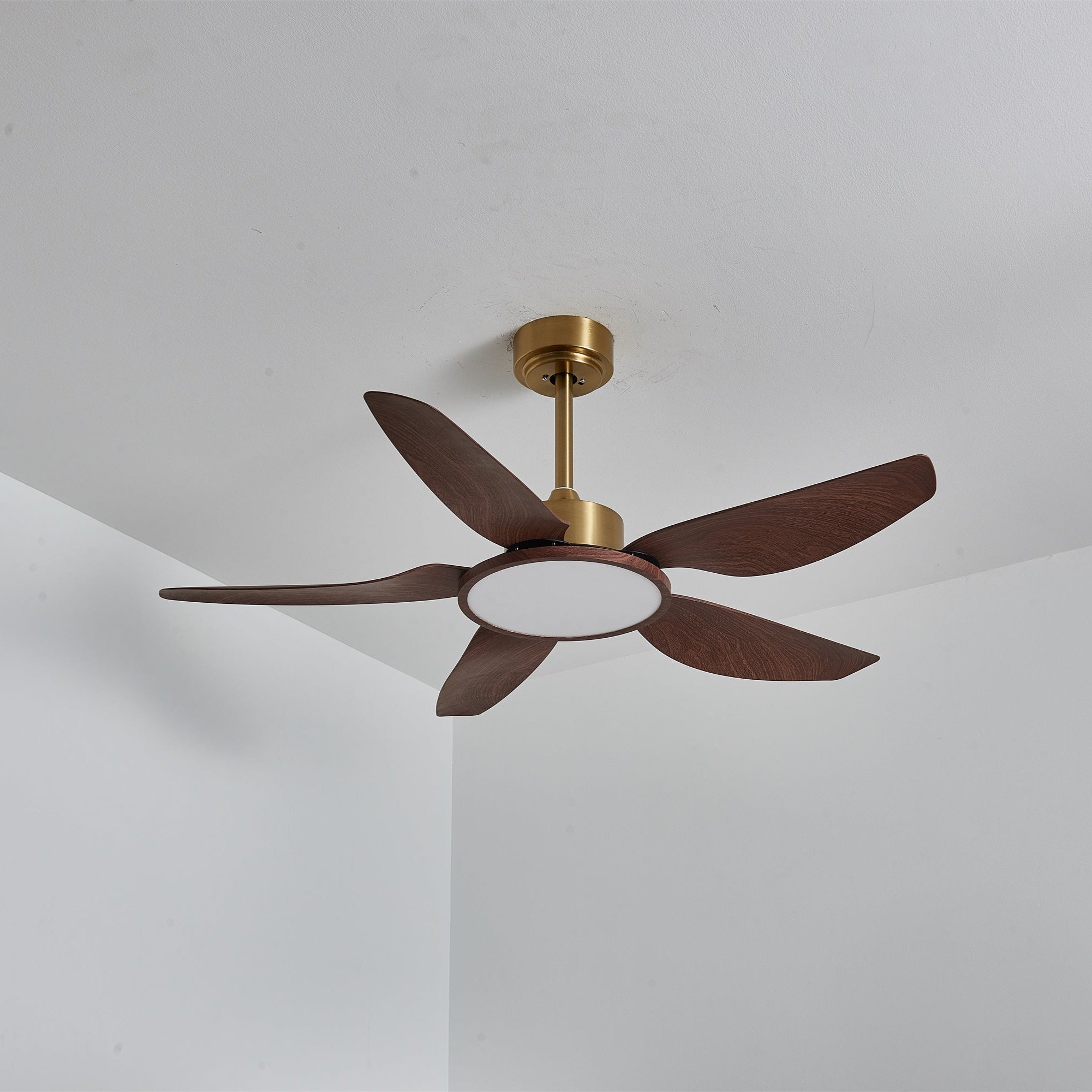 Amoro Ceiling Fan Light