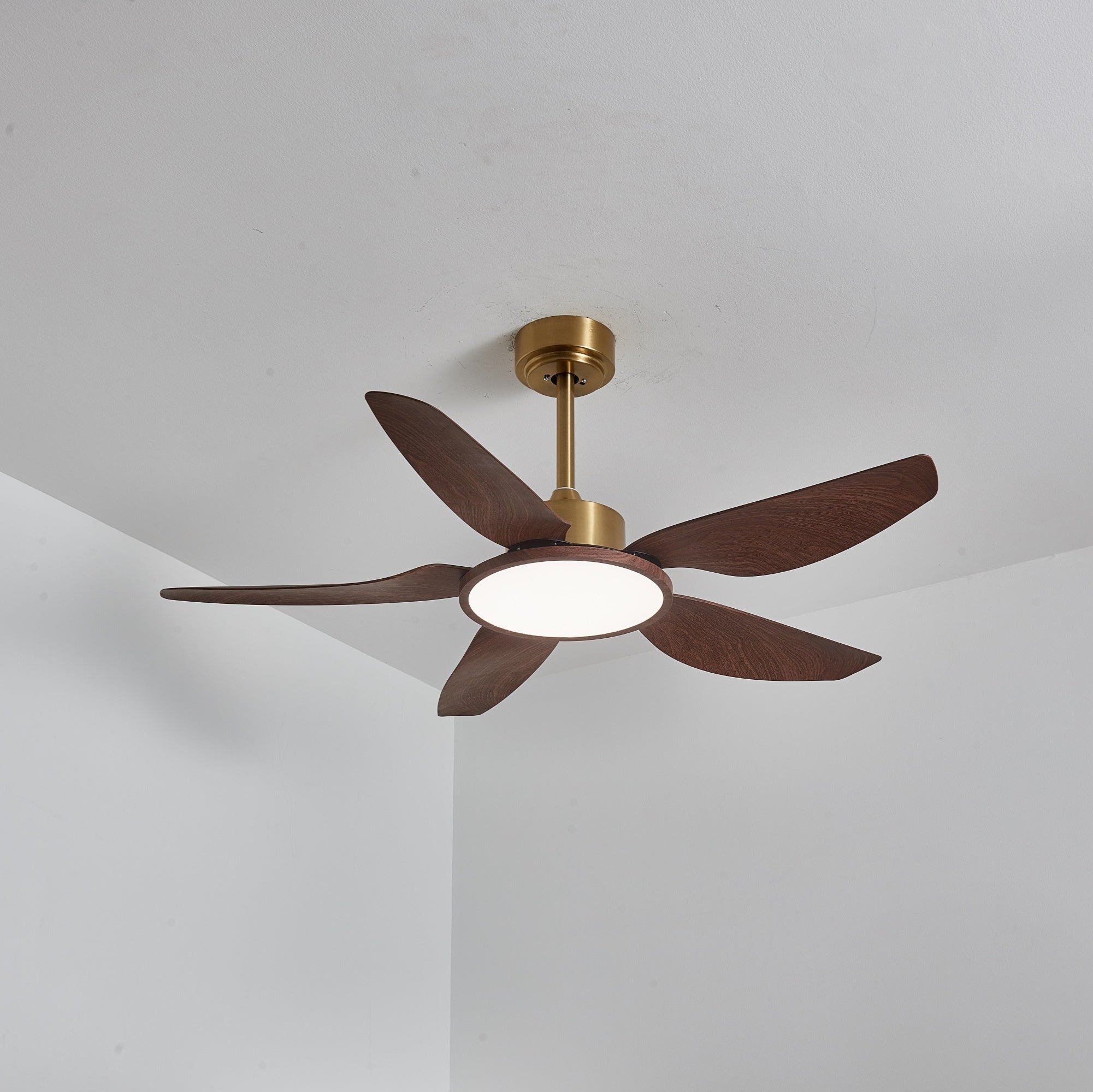 Amoro Ceiling Fan Light