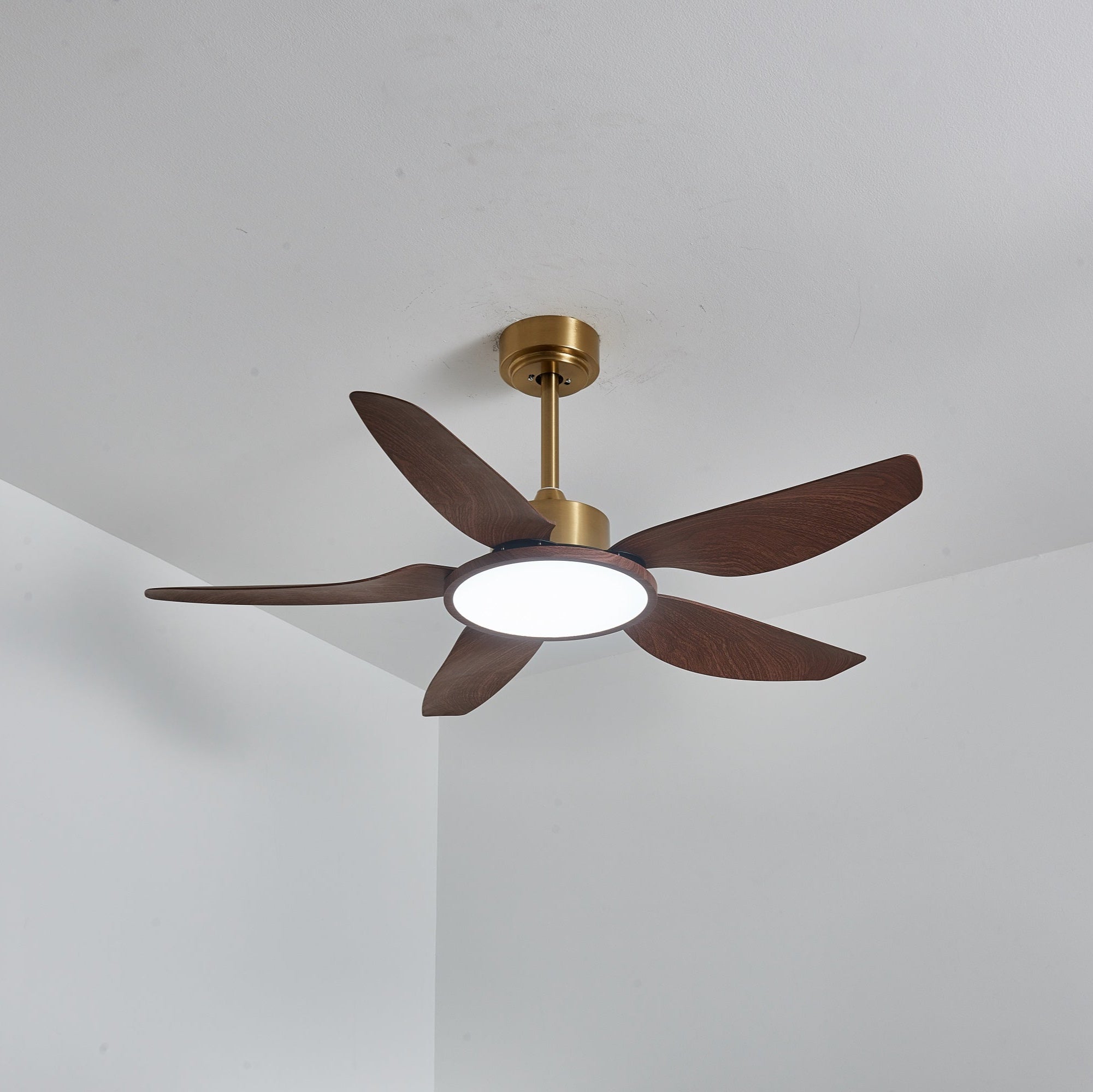Amoro Ceiling Fan Light