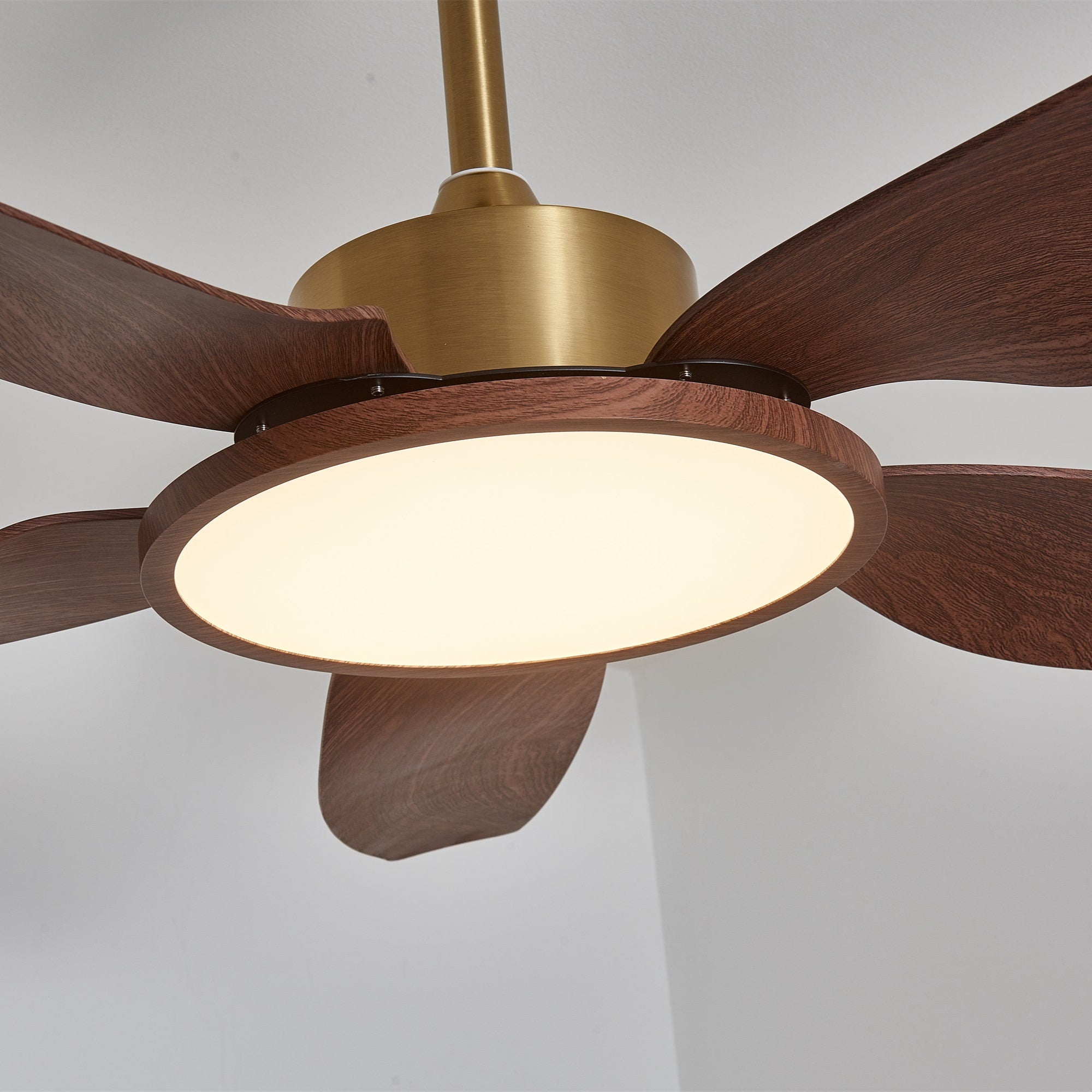 Amoro Ceiling Fan Light