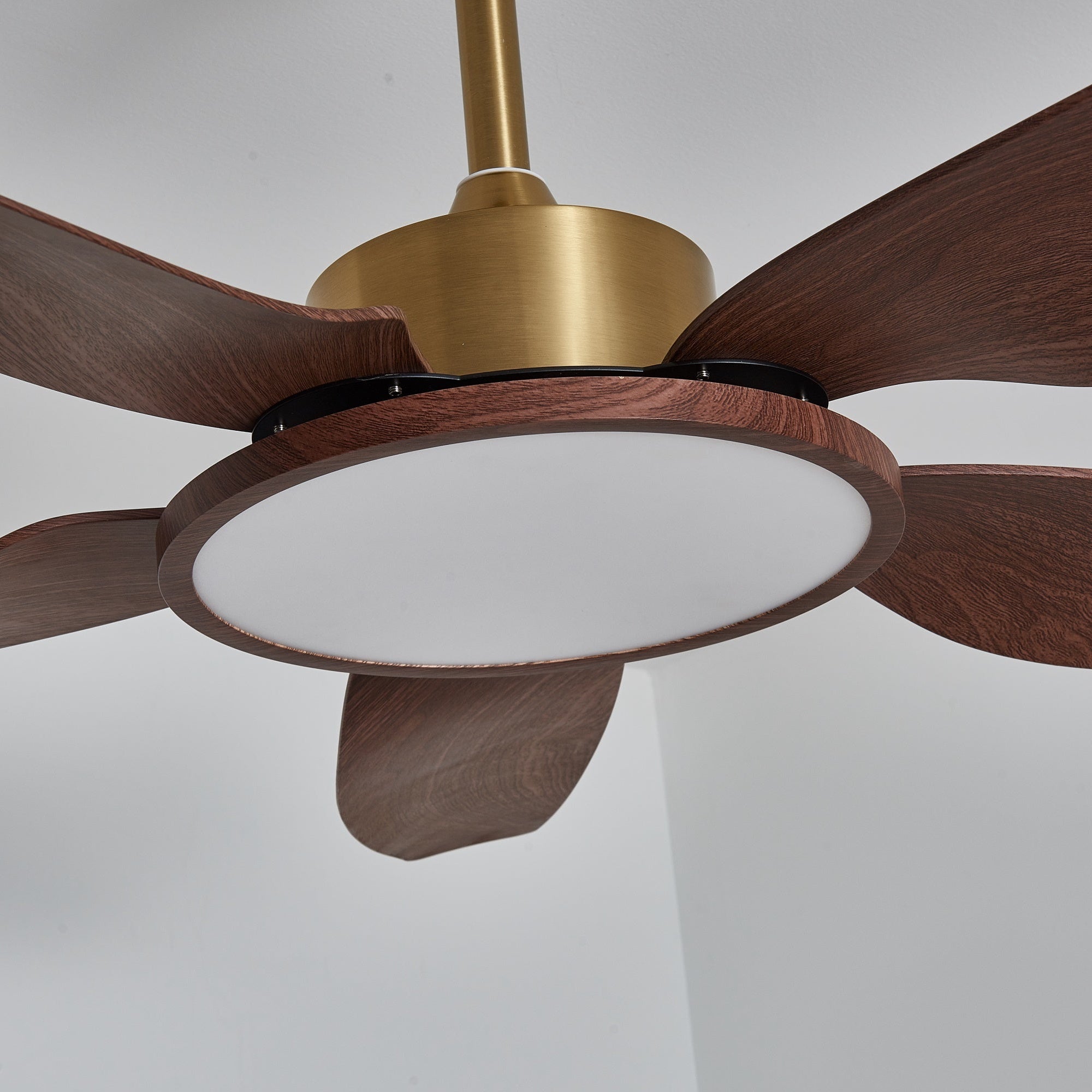 Amoro Ceiling Fan Light