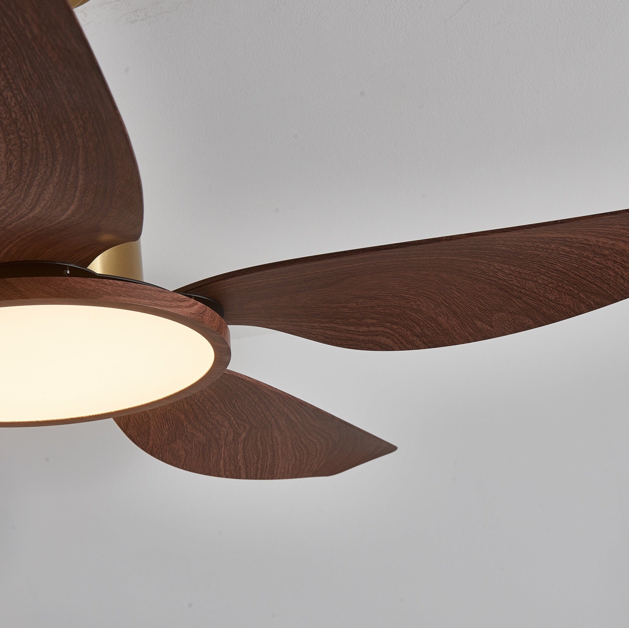 Amoro Ceiling Fan Light