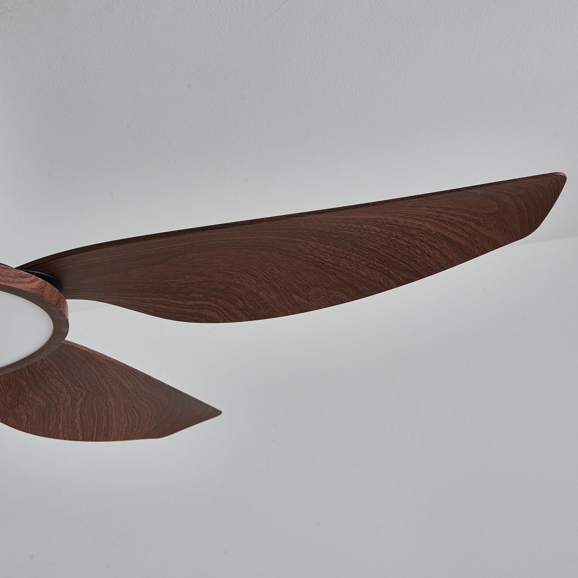 Amoro Ceiling Fan Light