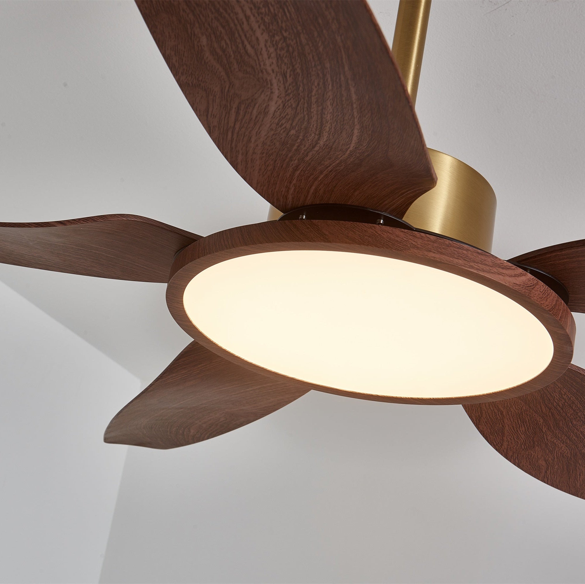 Amoro Ceiling Fan Light