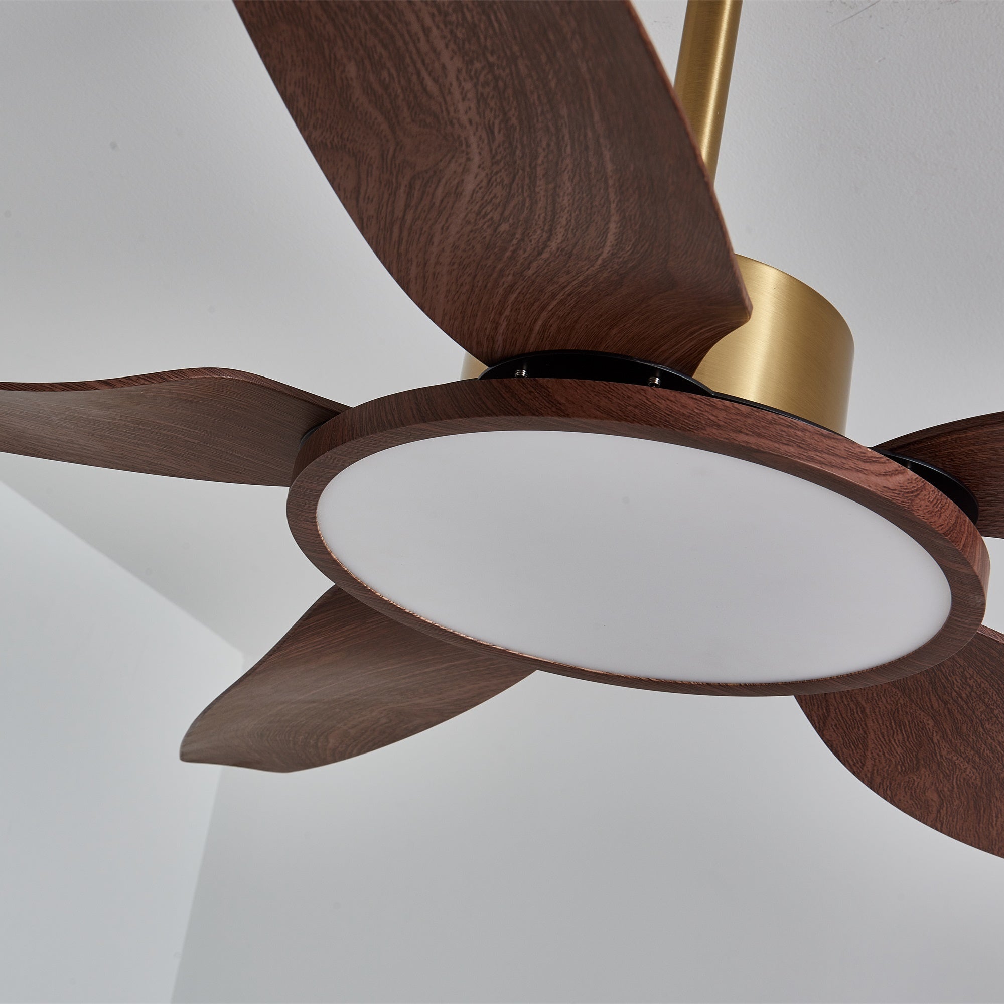 Amoro Ceiling Fan Light