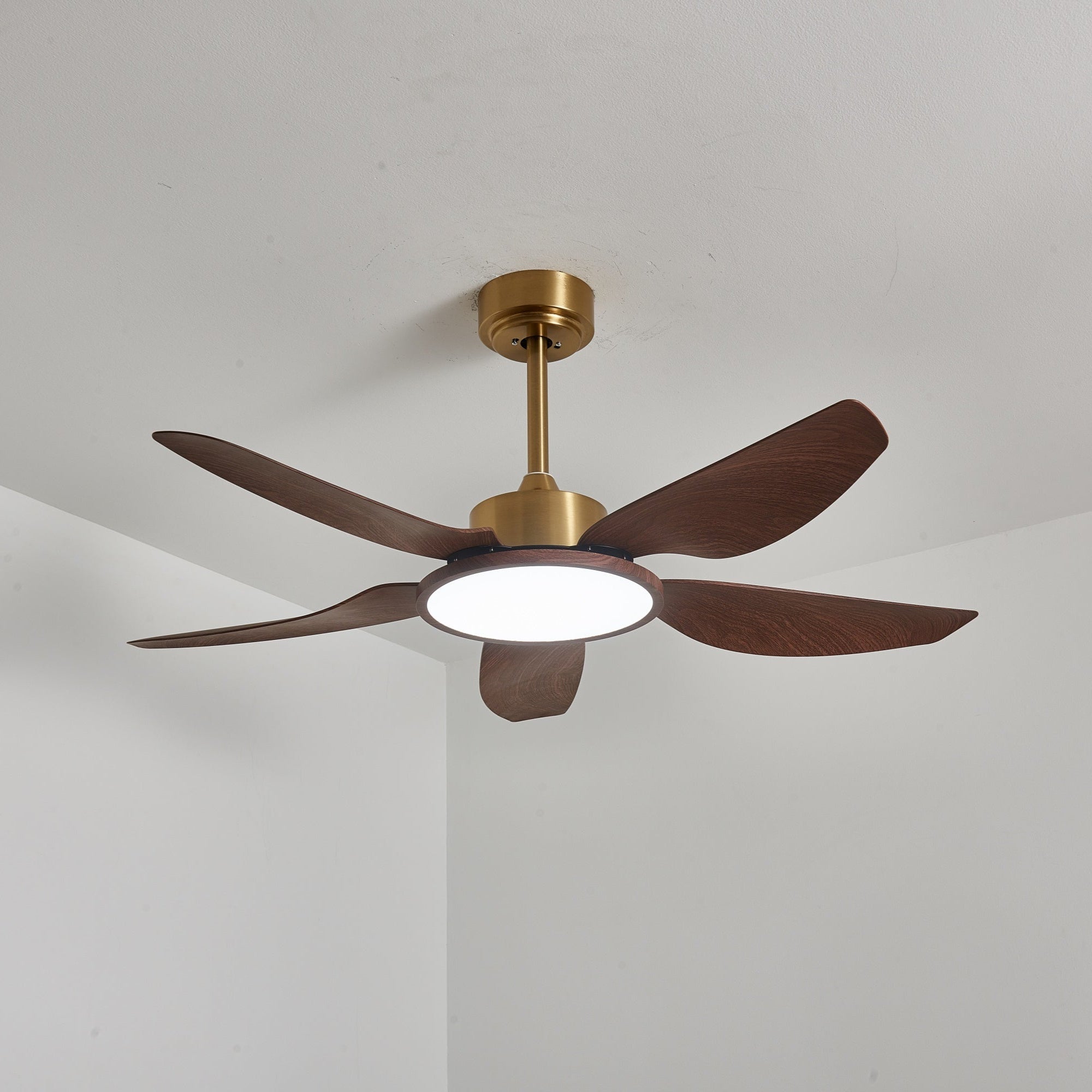 Amoro Ceiling Fan Light