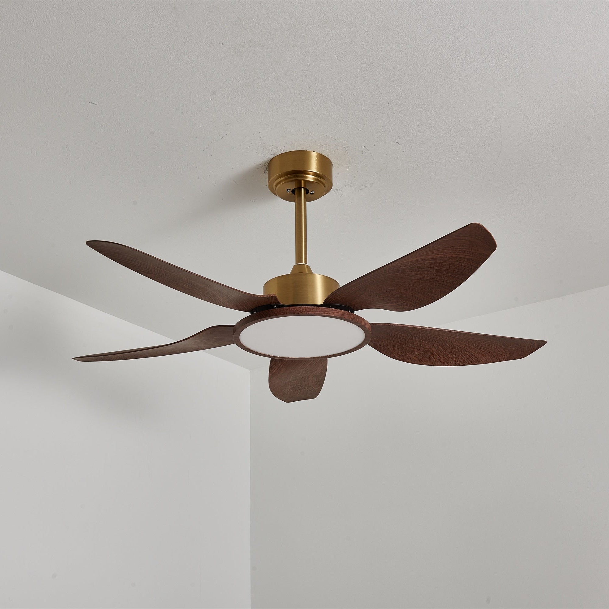 Amoro Ceiling Fan Light
